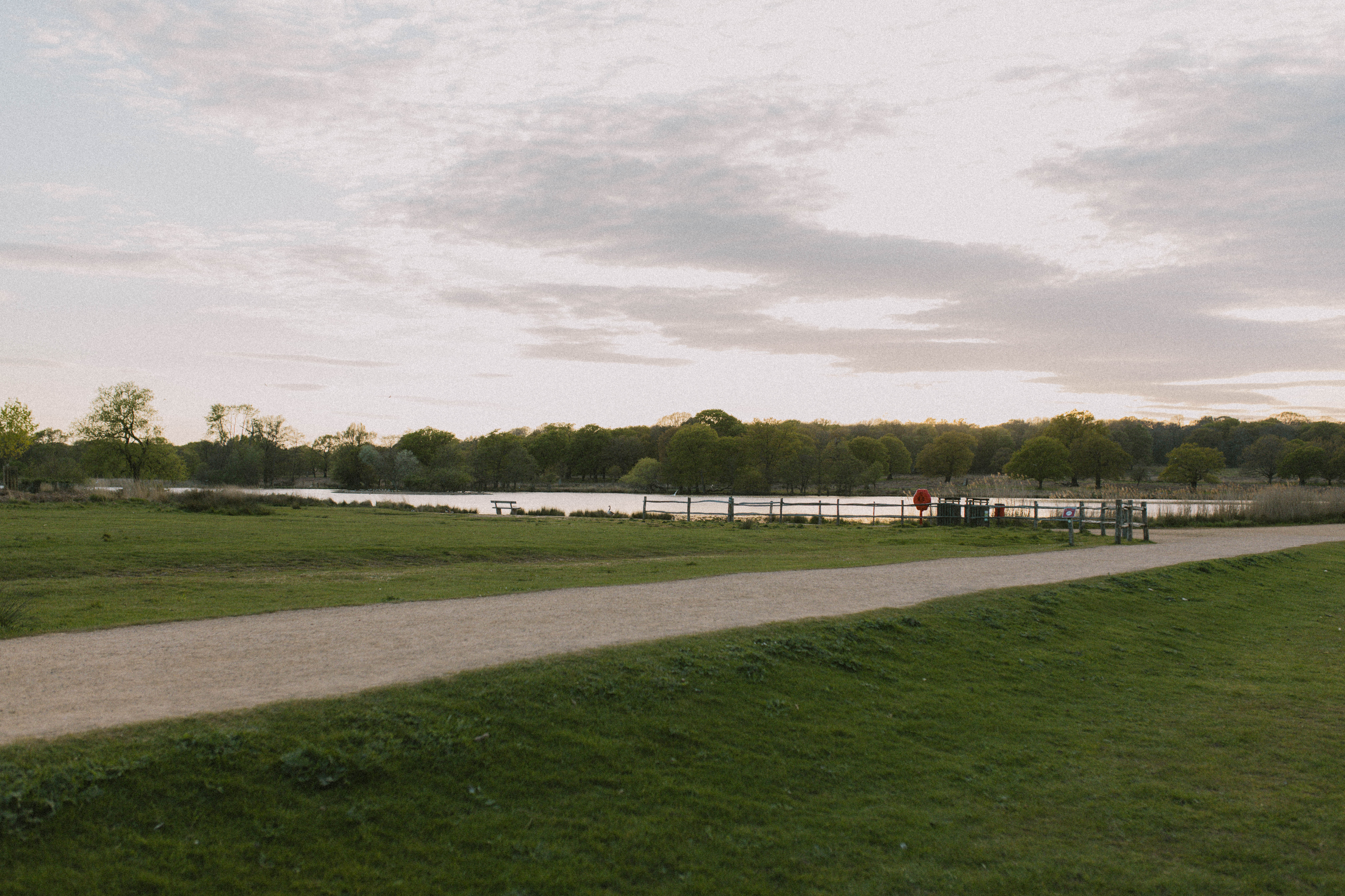 Richmond Park 25