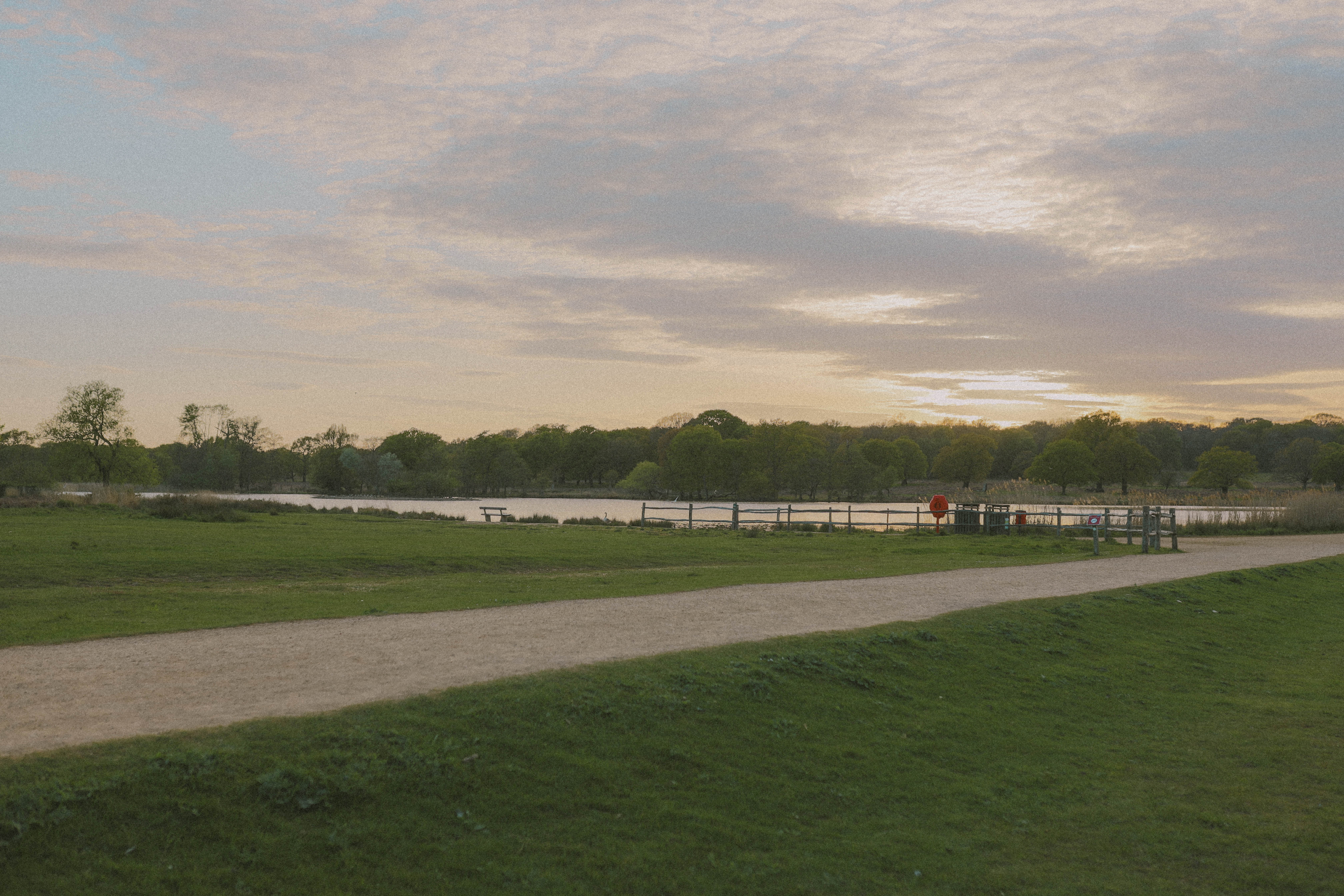 Richmond Park 26