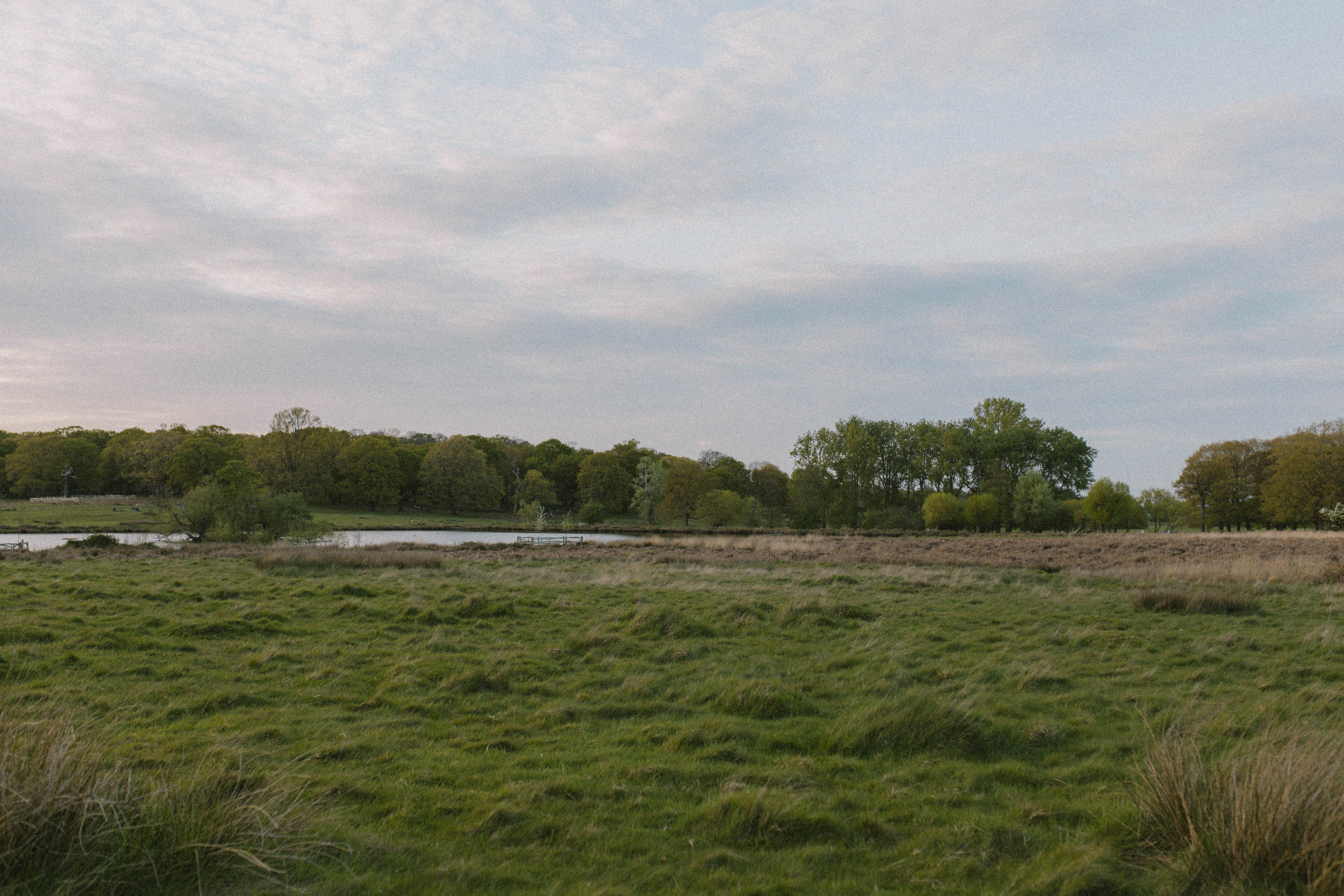 Richmond Park 27