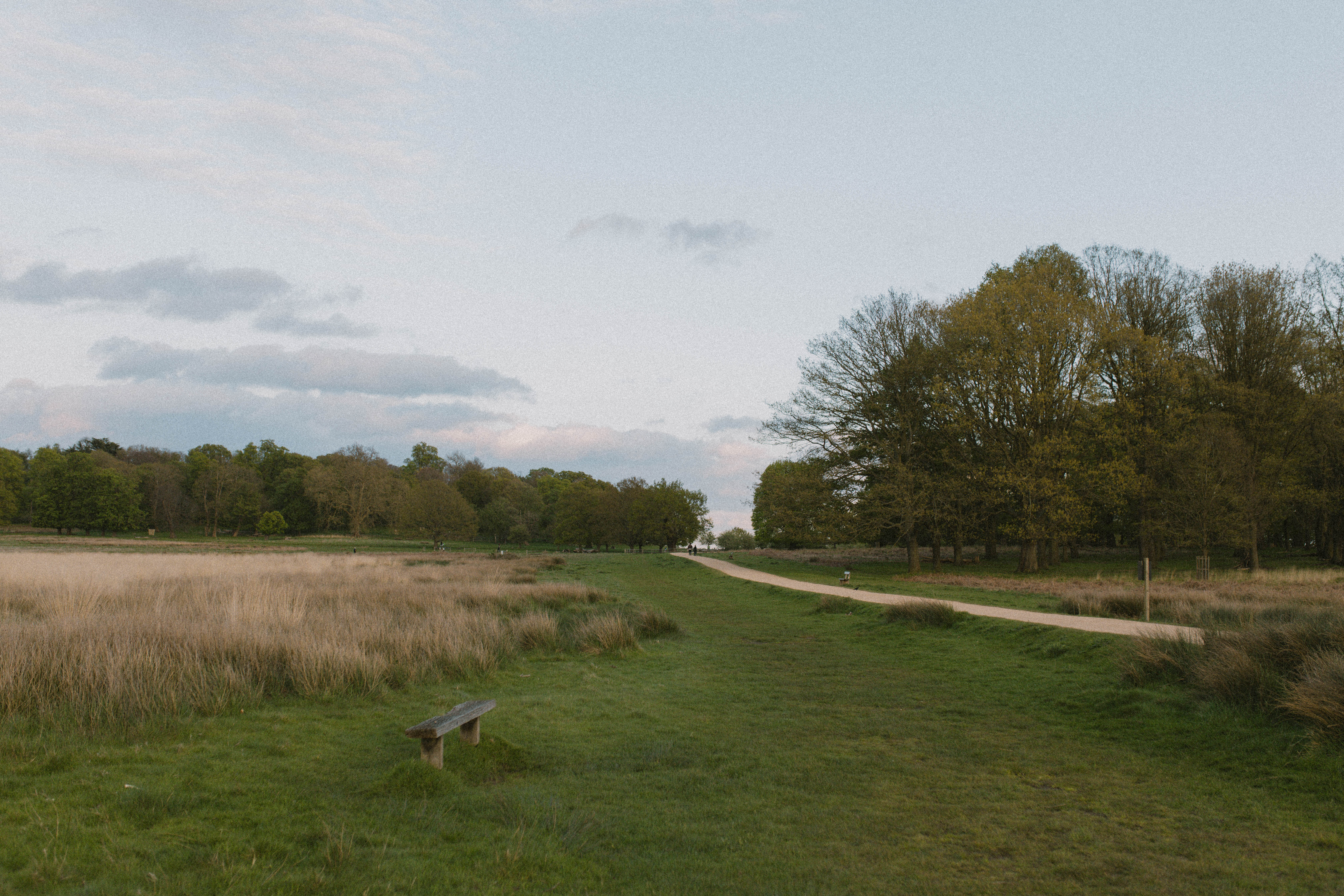 Richmond Park 28