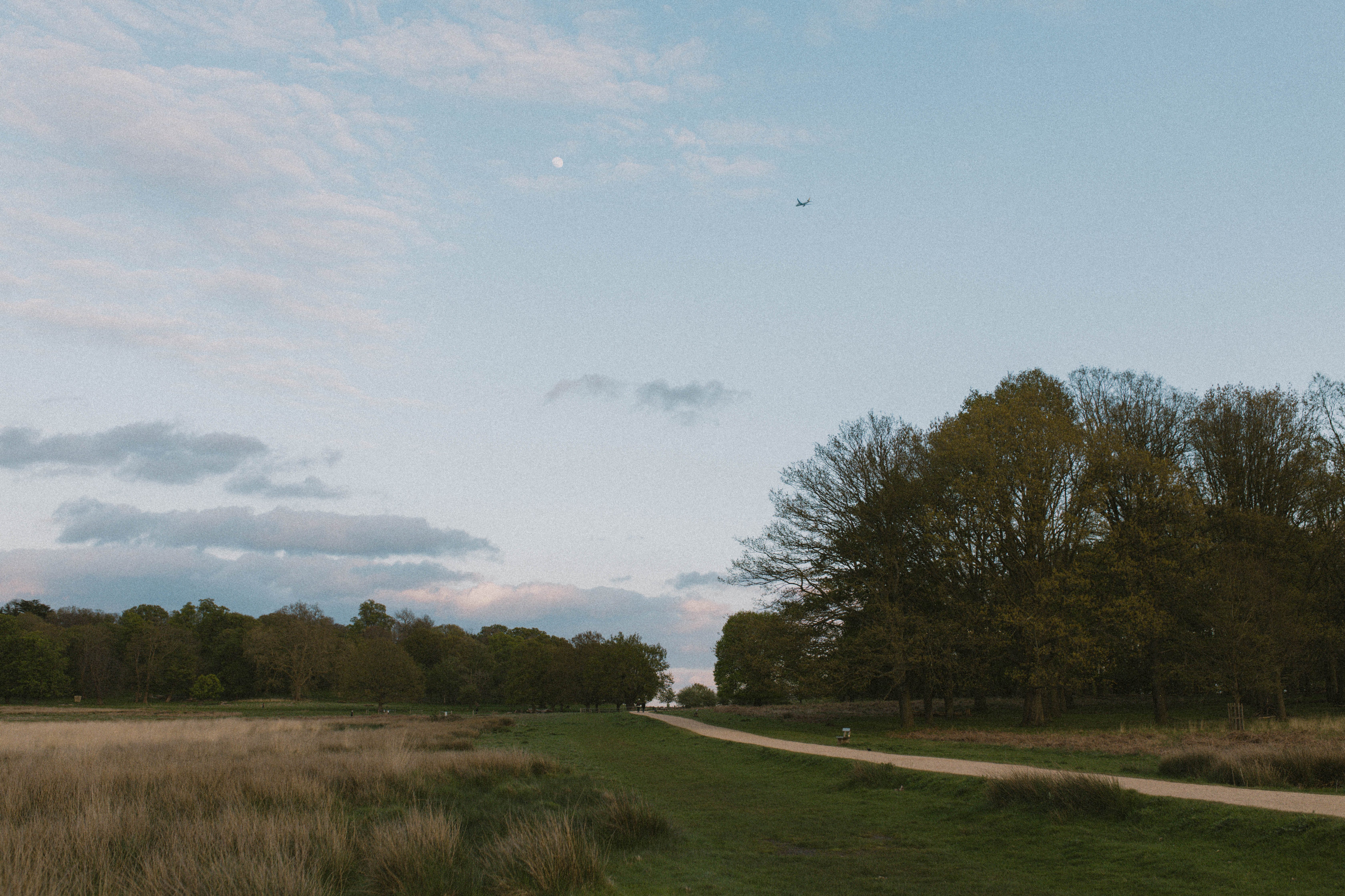 Richmond Park 29