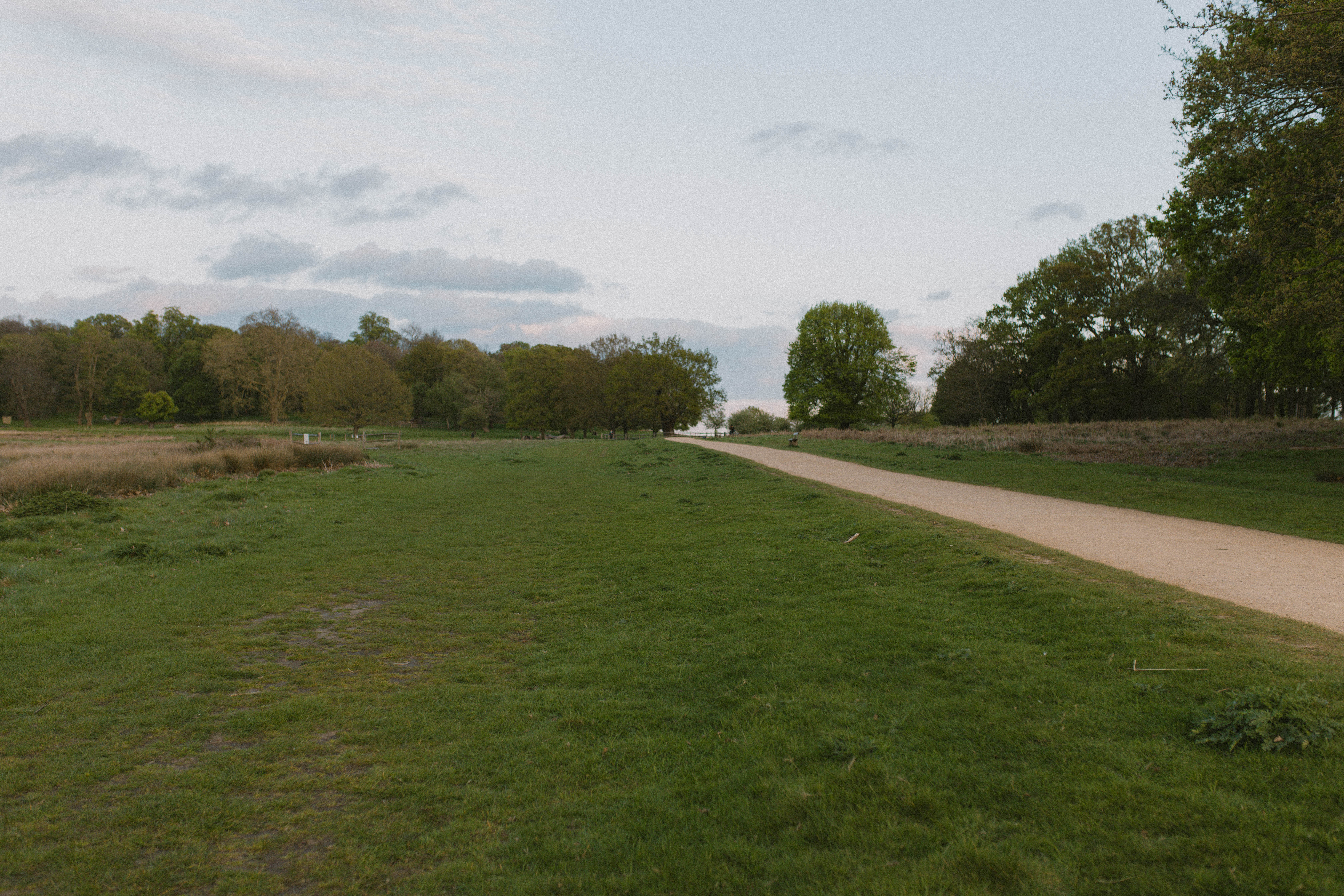 Richmond Park 31
