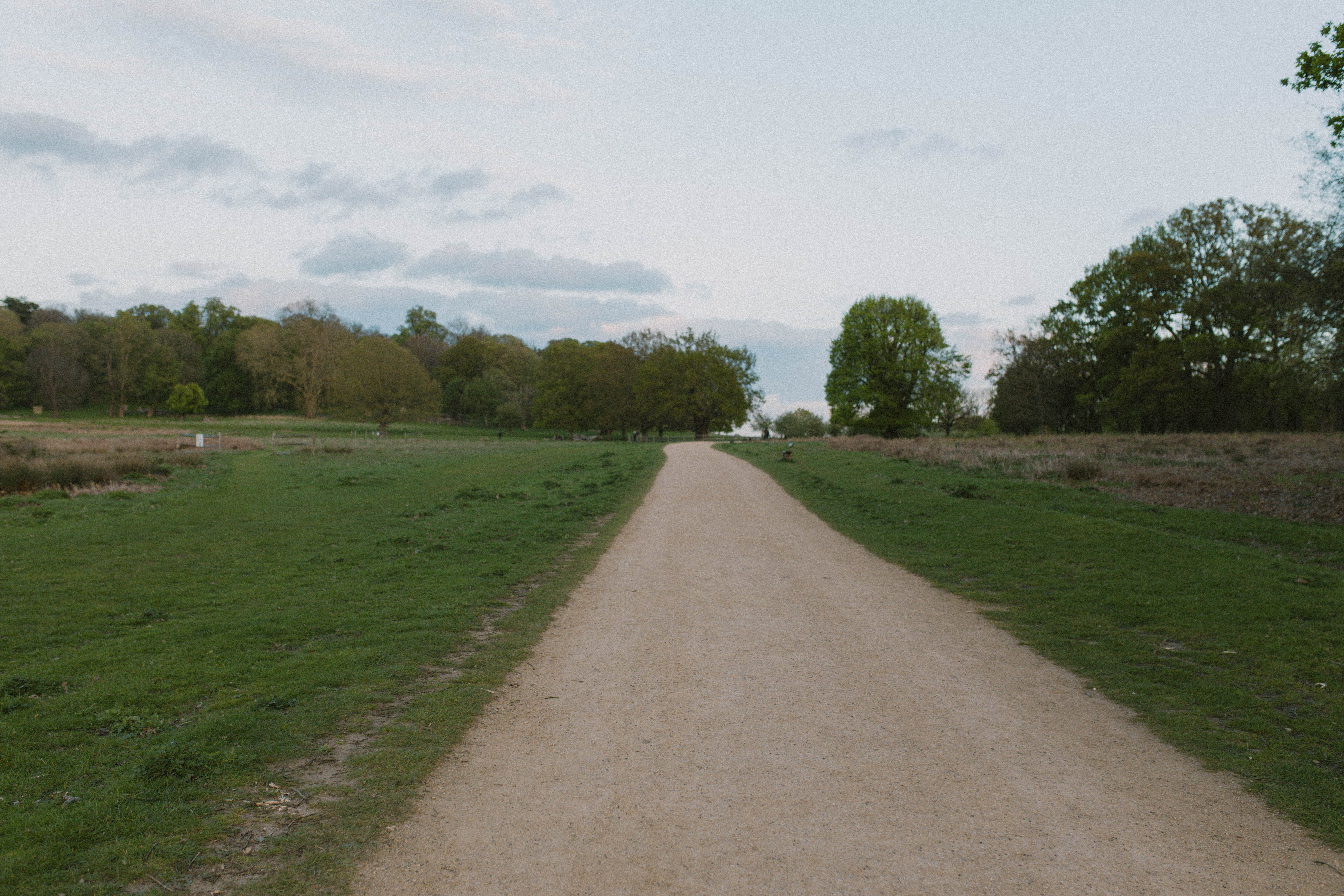 Richmond Park 32