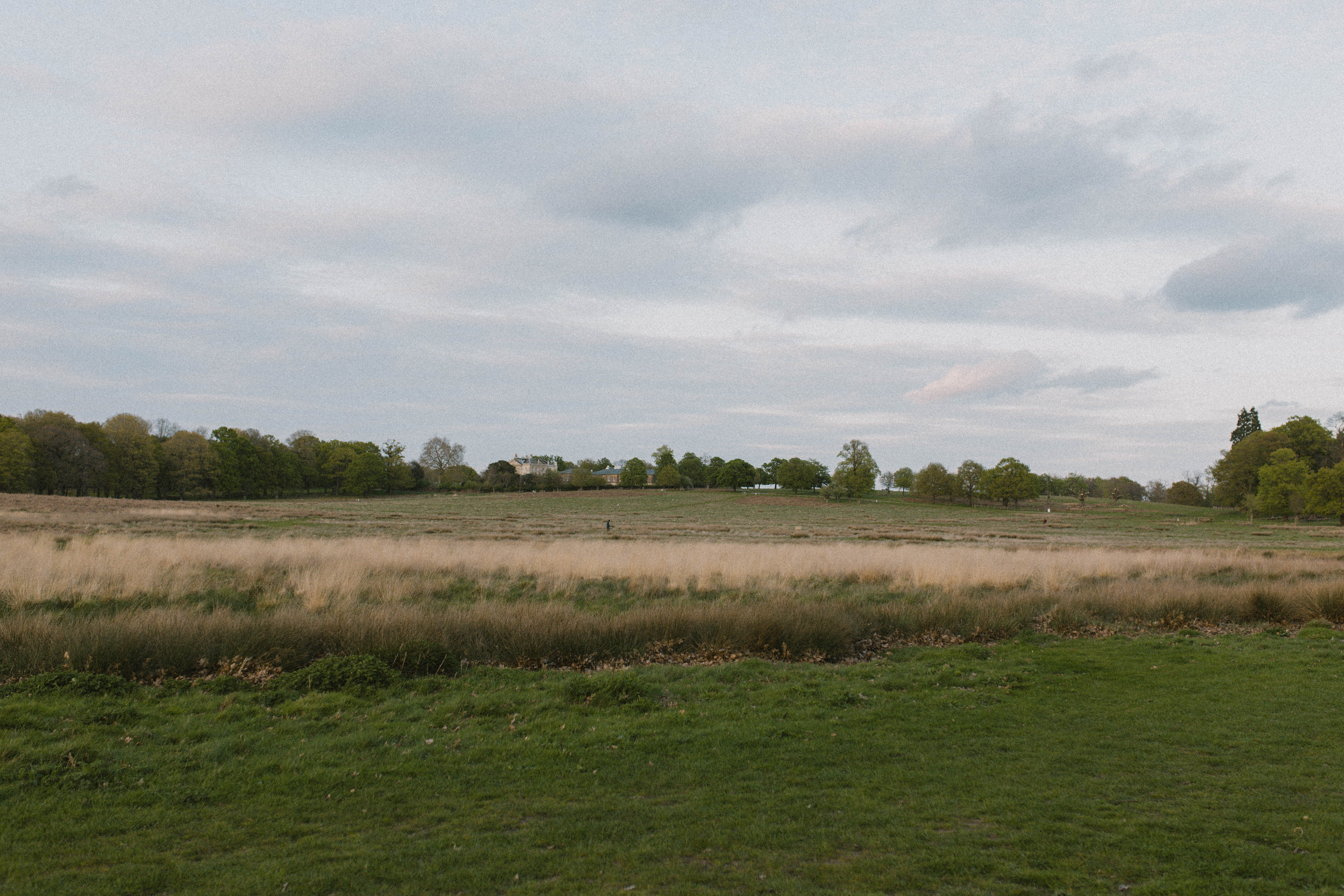 Richmond Park 33