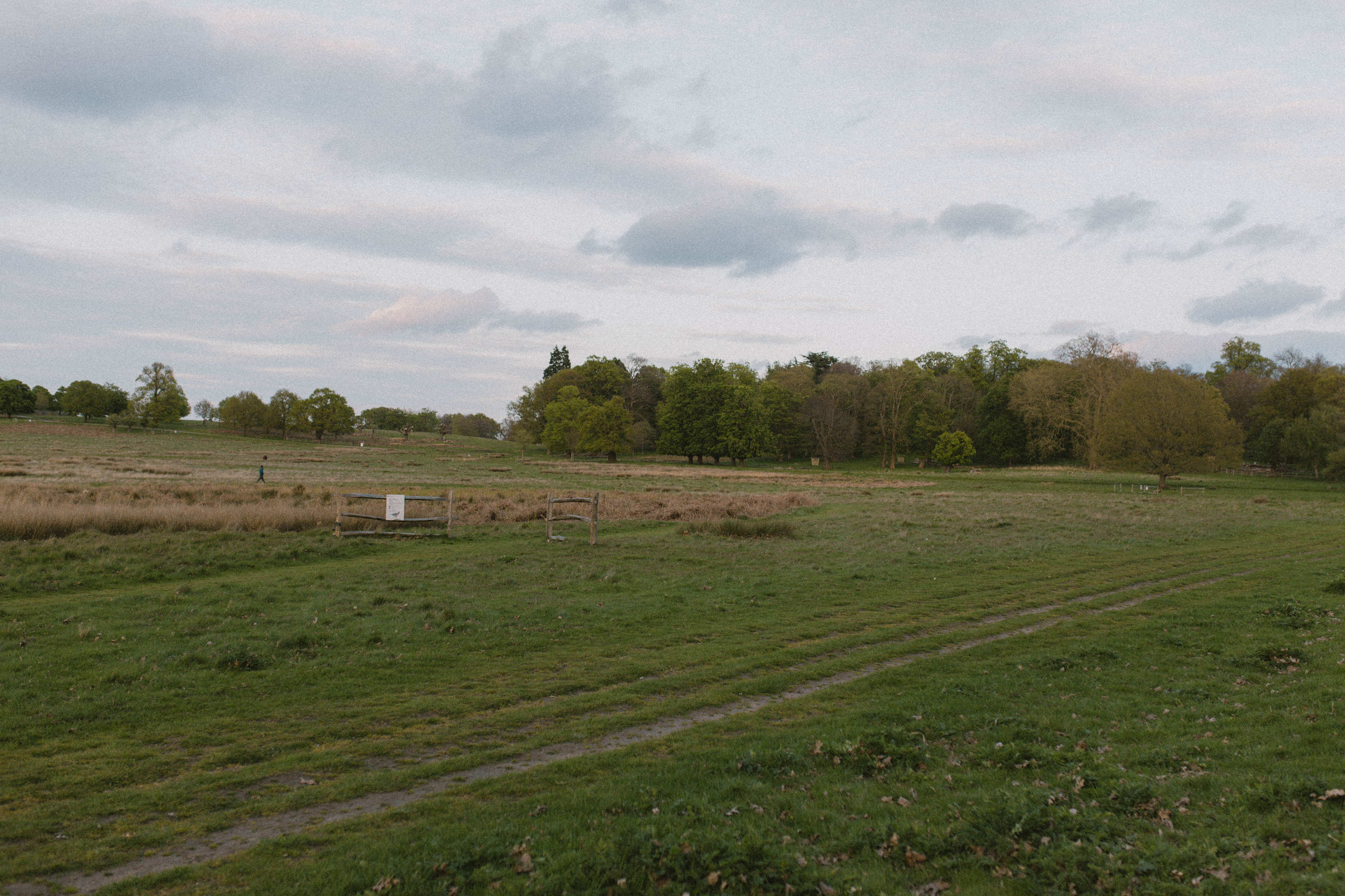 Richmond Park 34