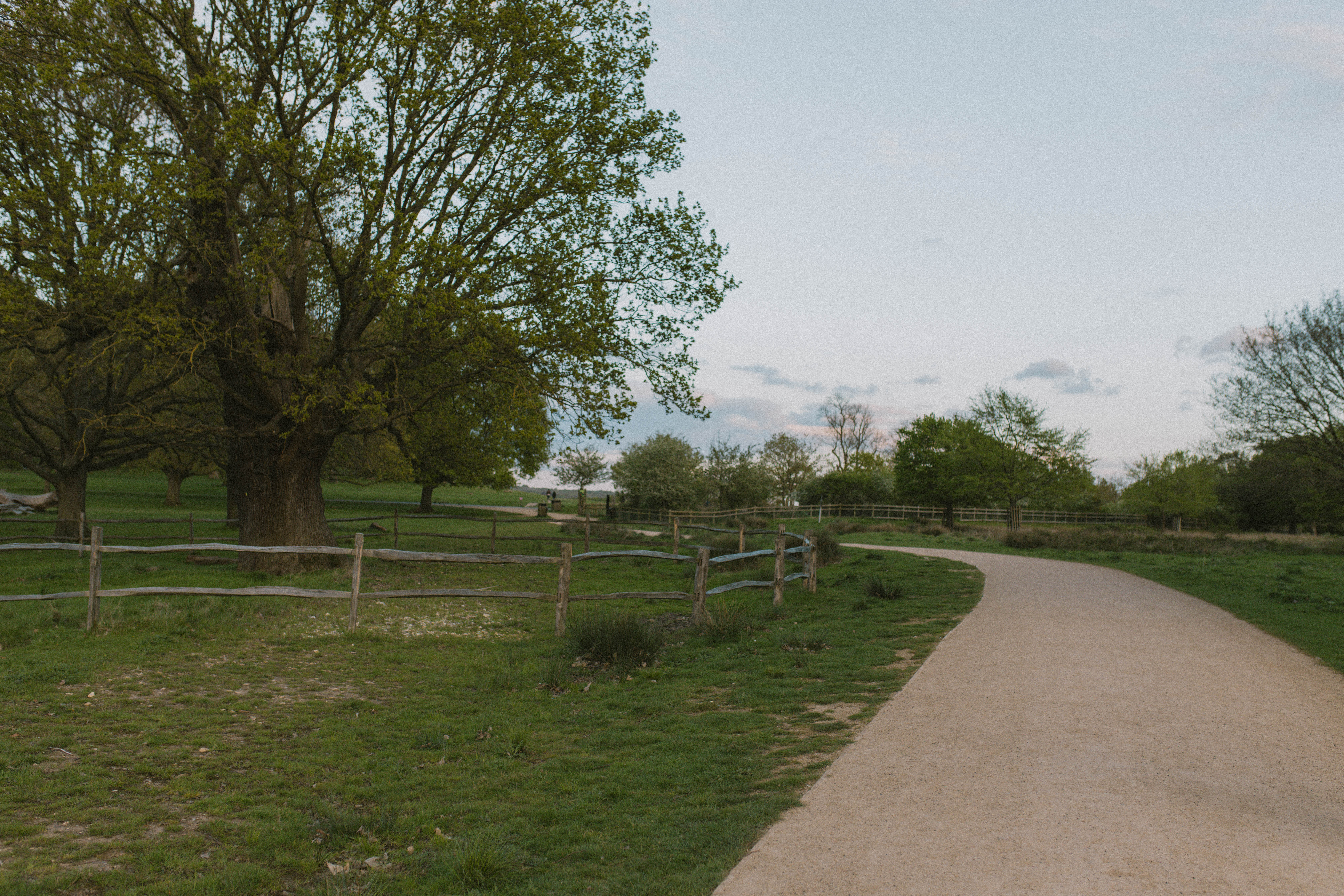 Richmond Park 35