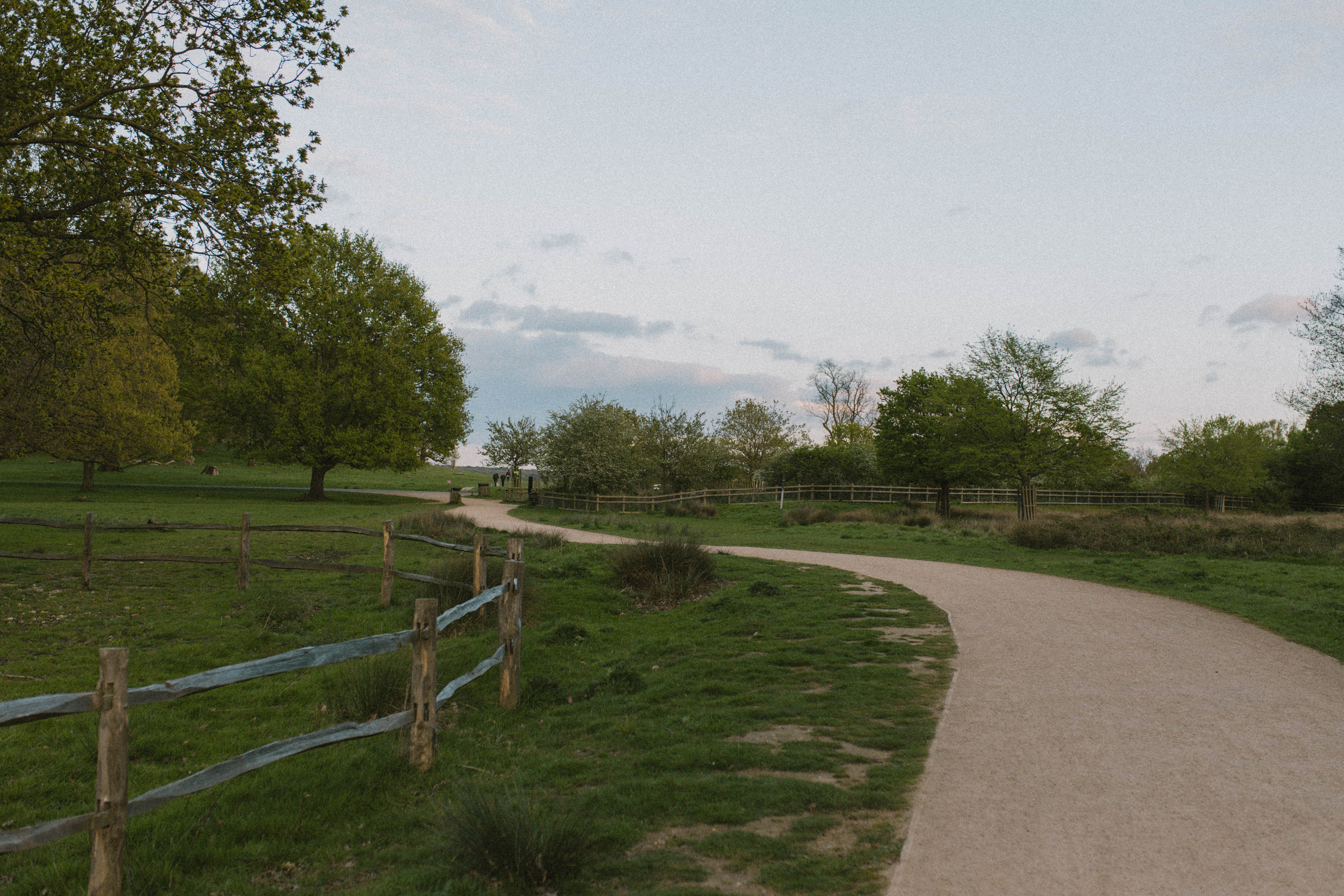 Richmond Park 36