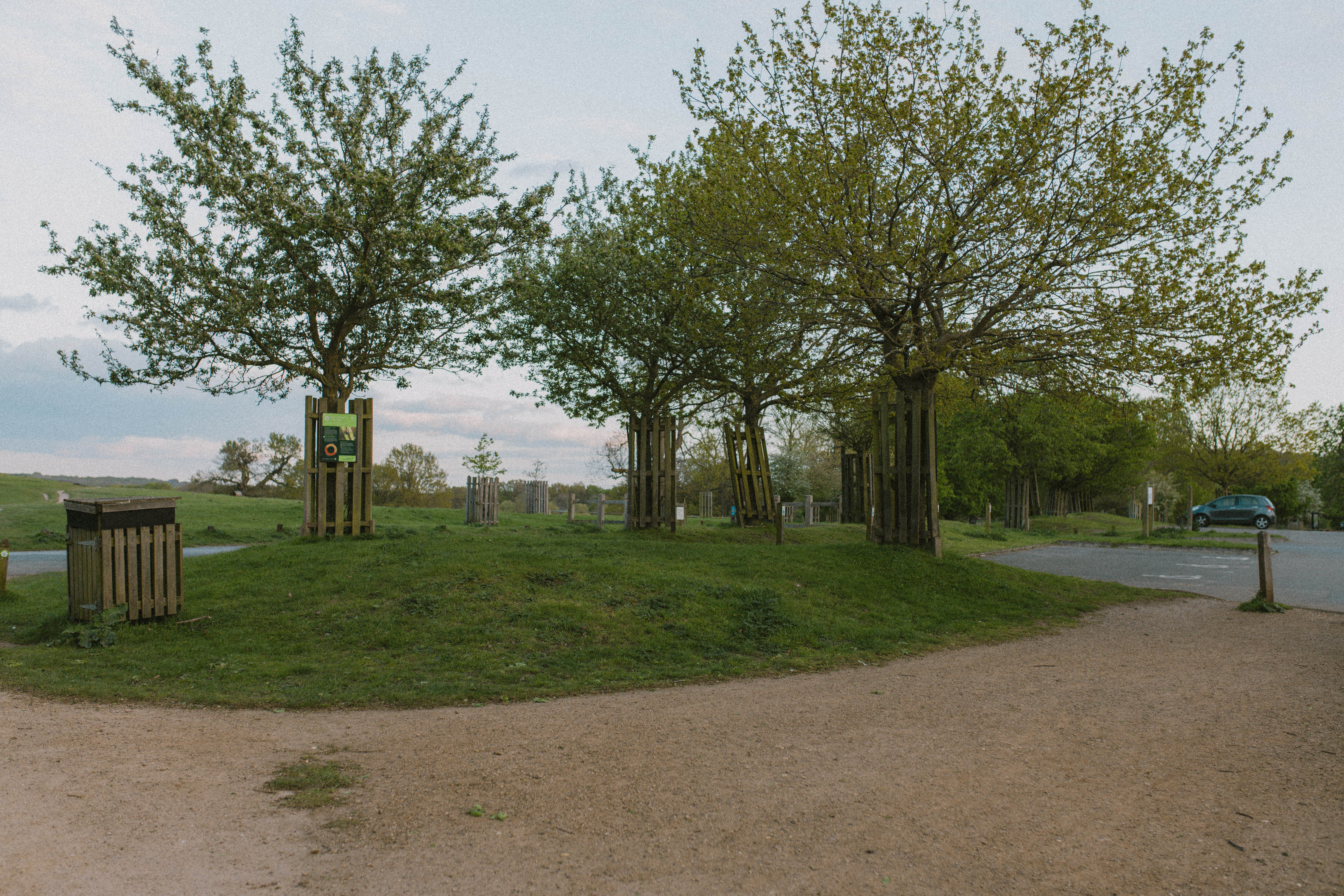 Richmond Park 40