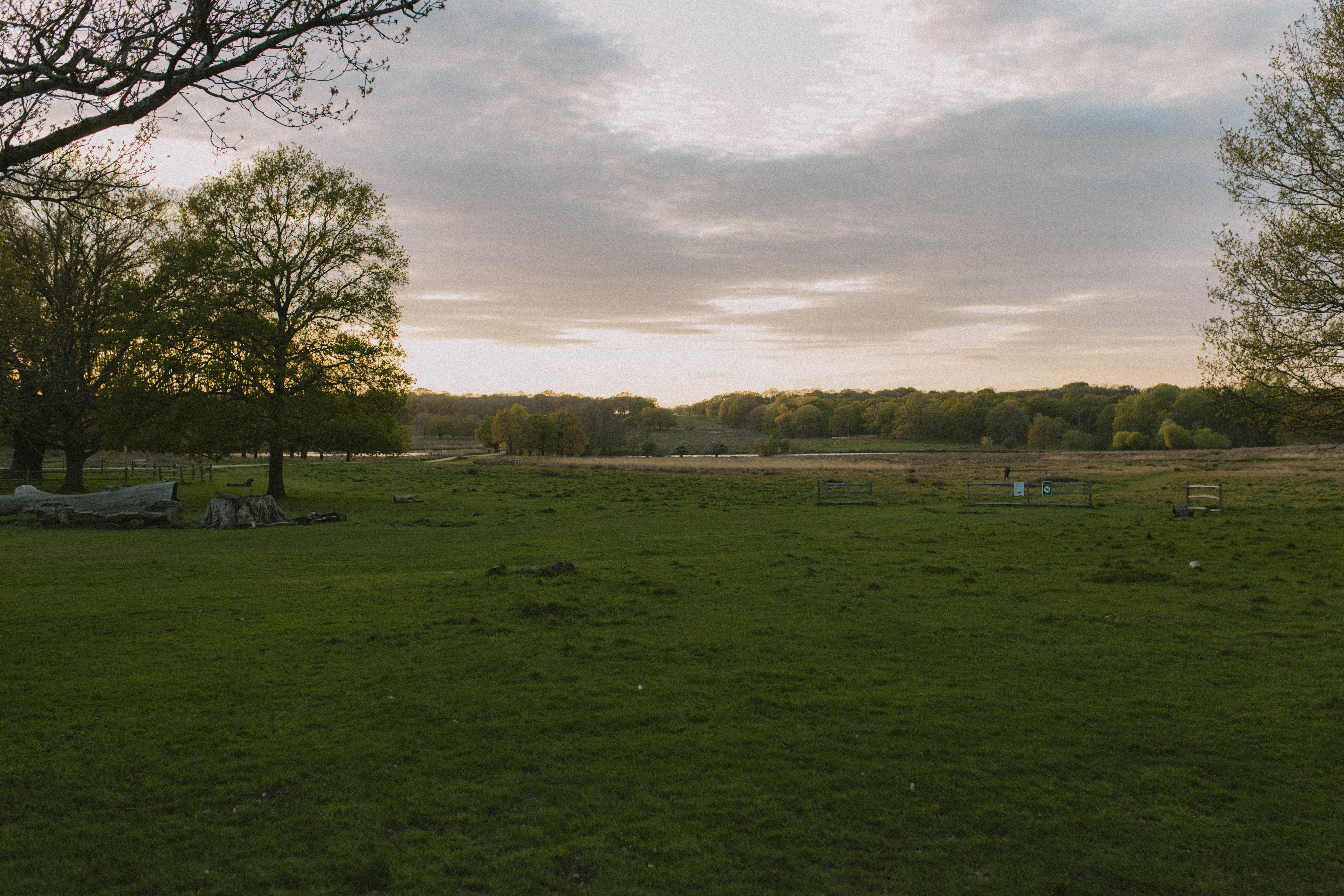 Richmond Park 41