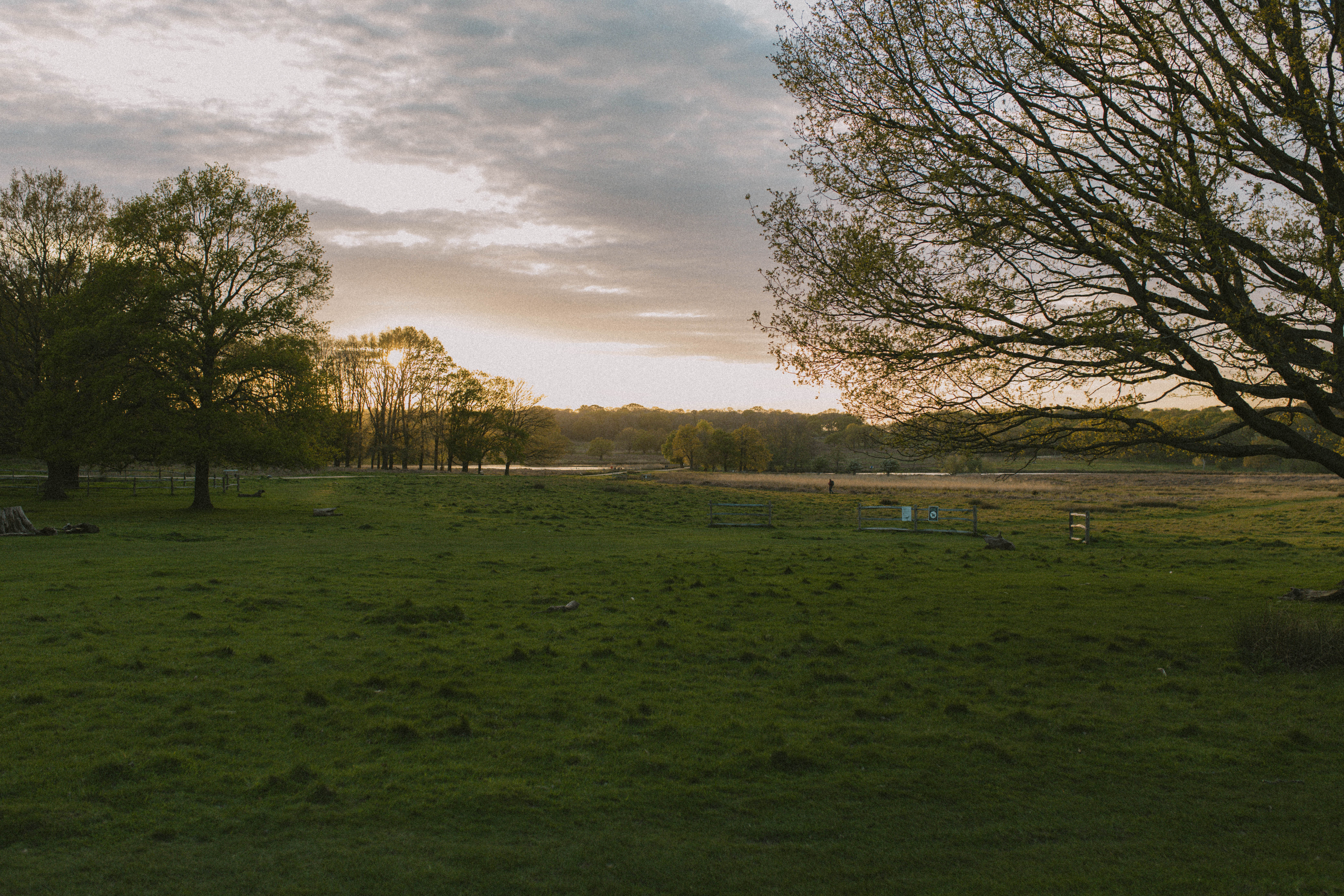 Richmond Park 44
