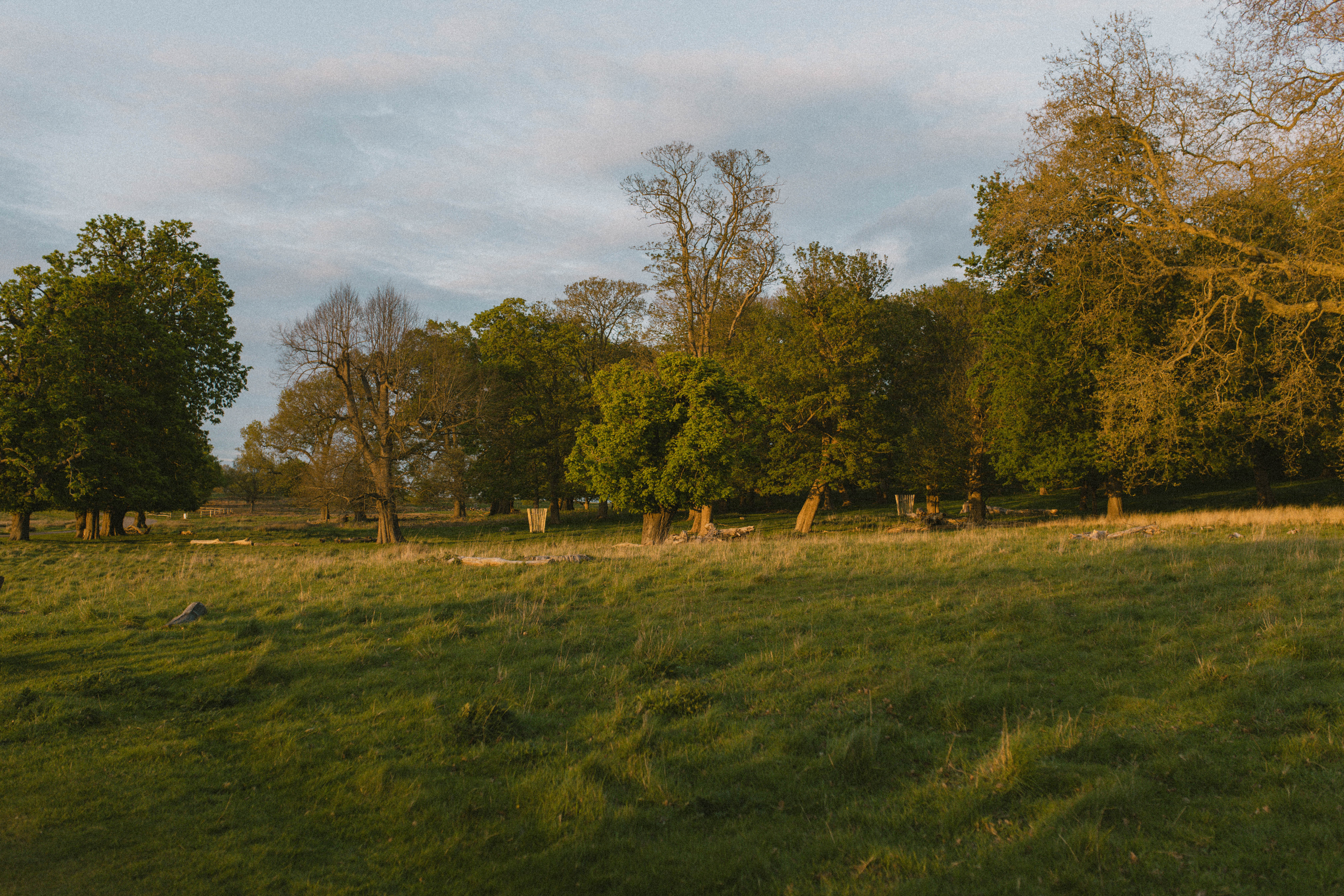 Richmond Park 47