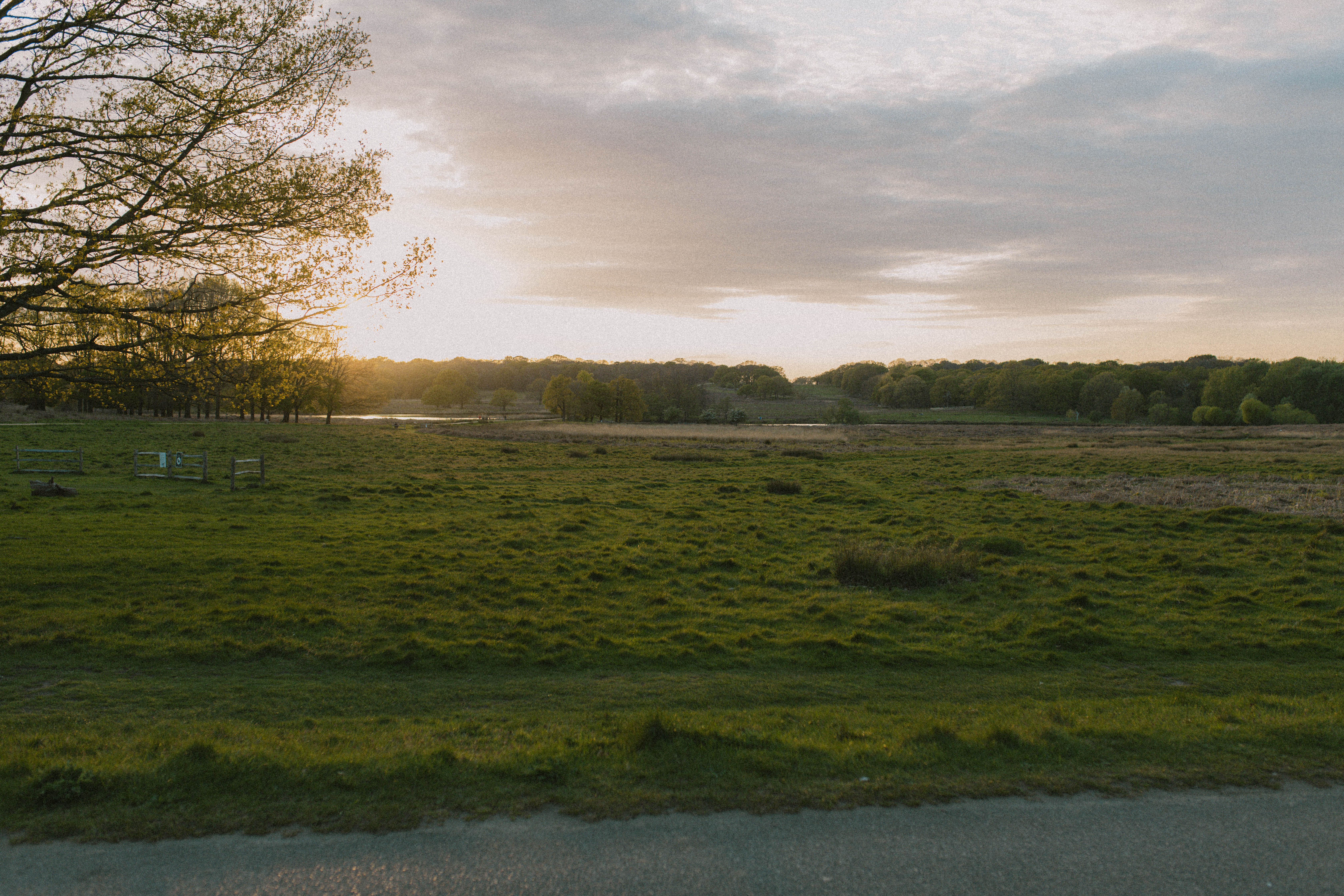 Richmond Park 51