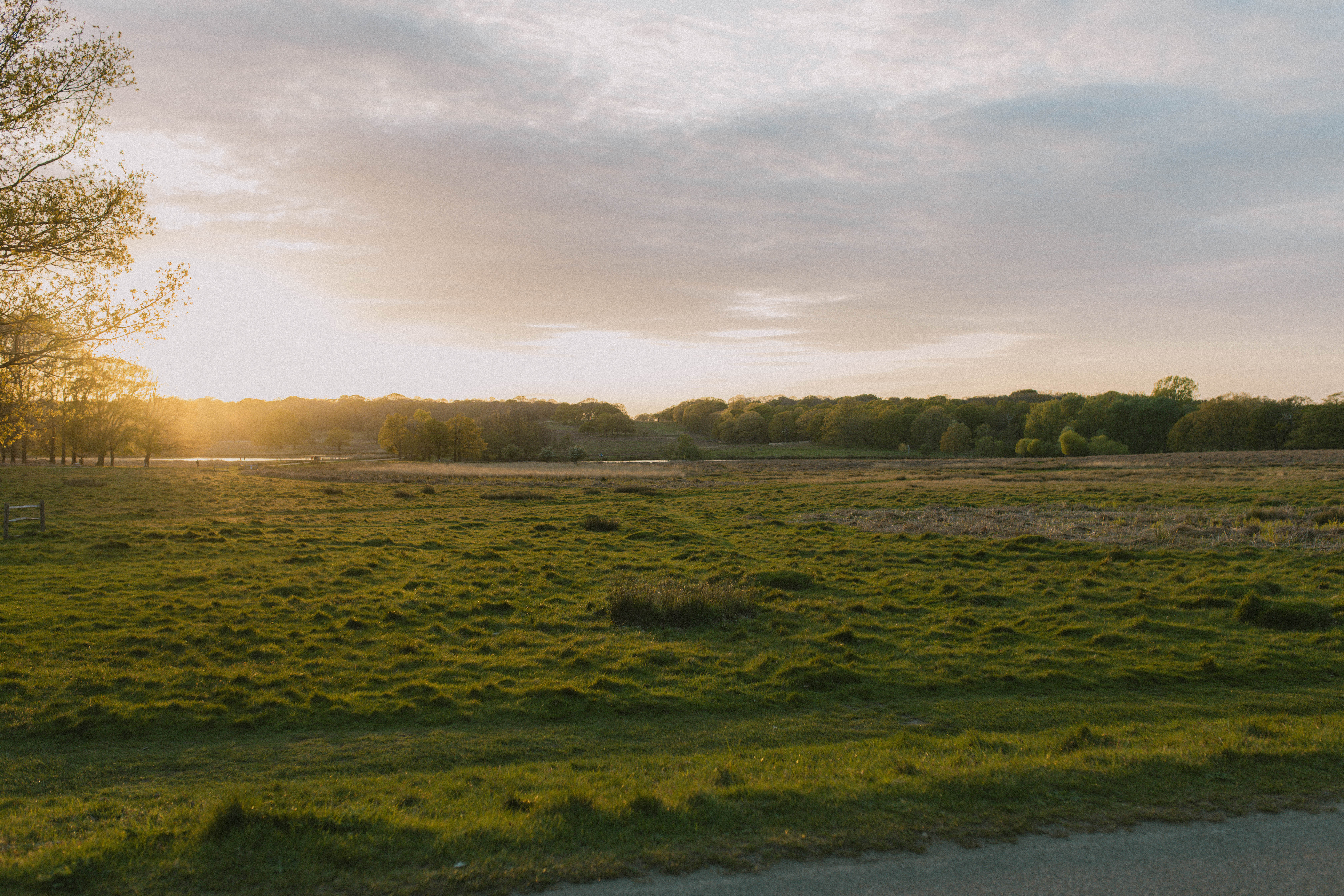 Richmond Park 55