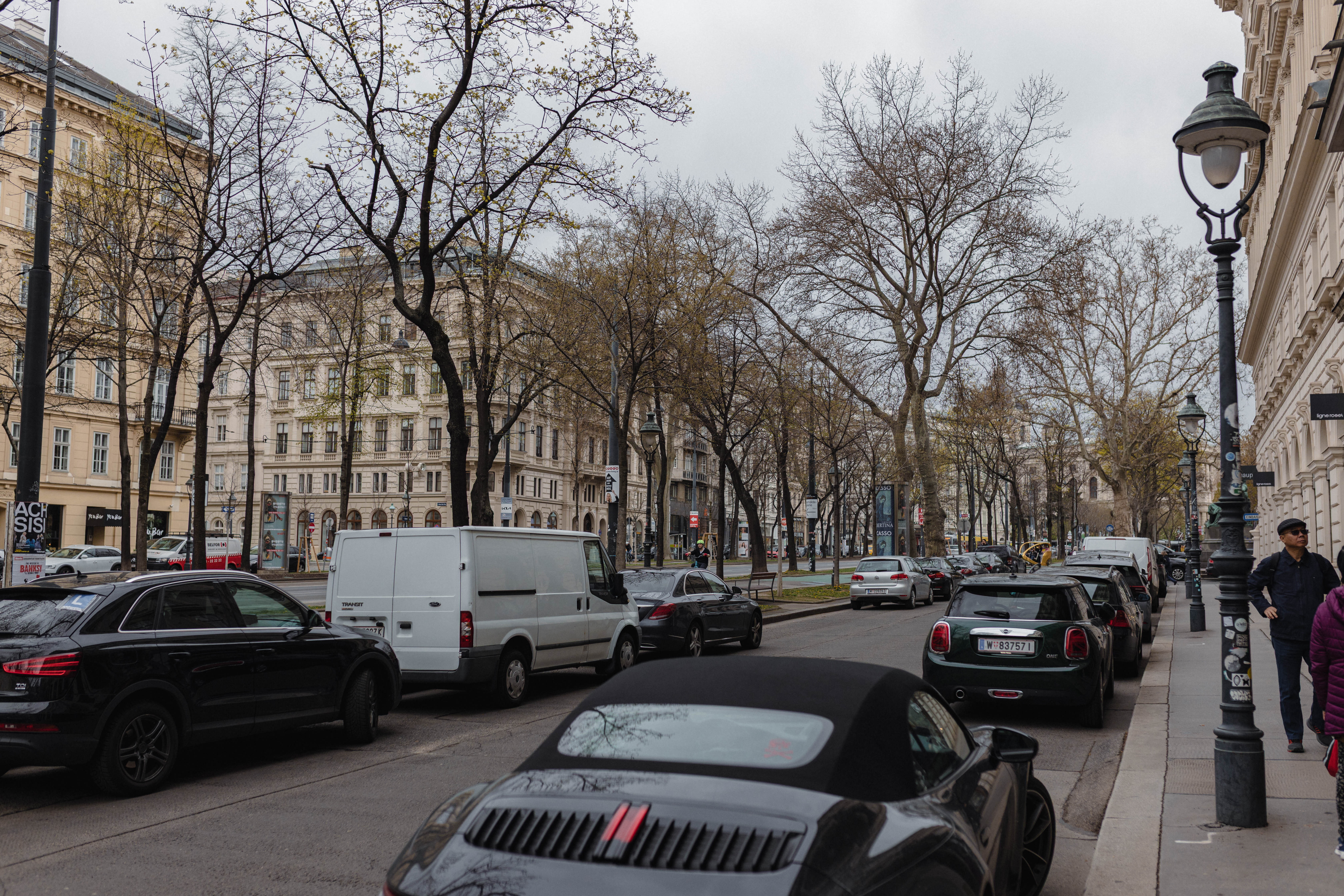 Vienna 81