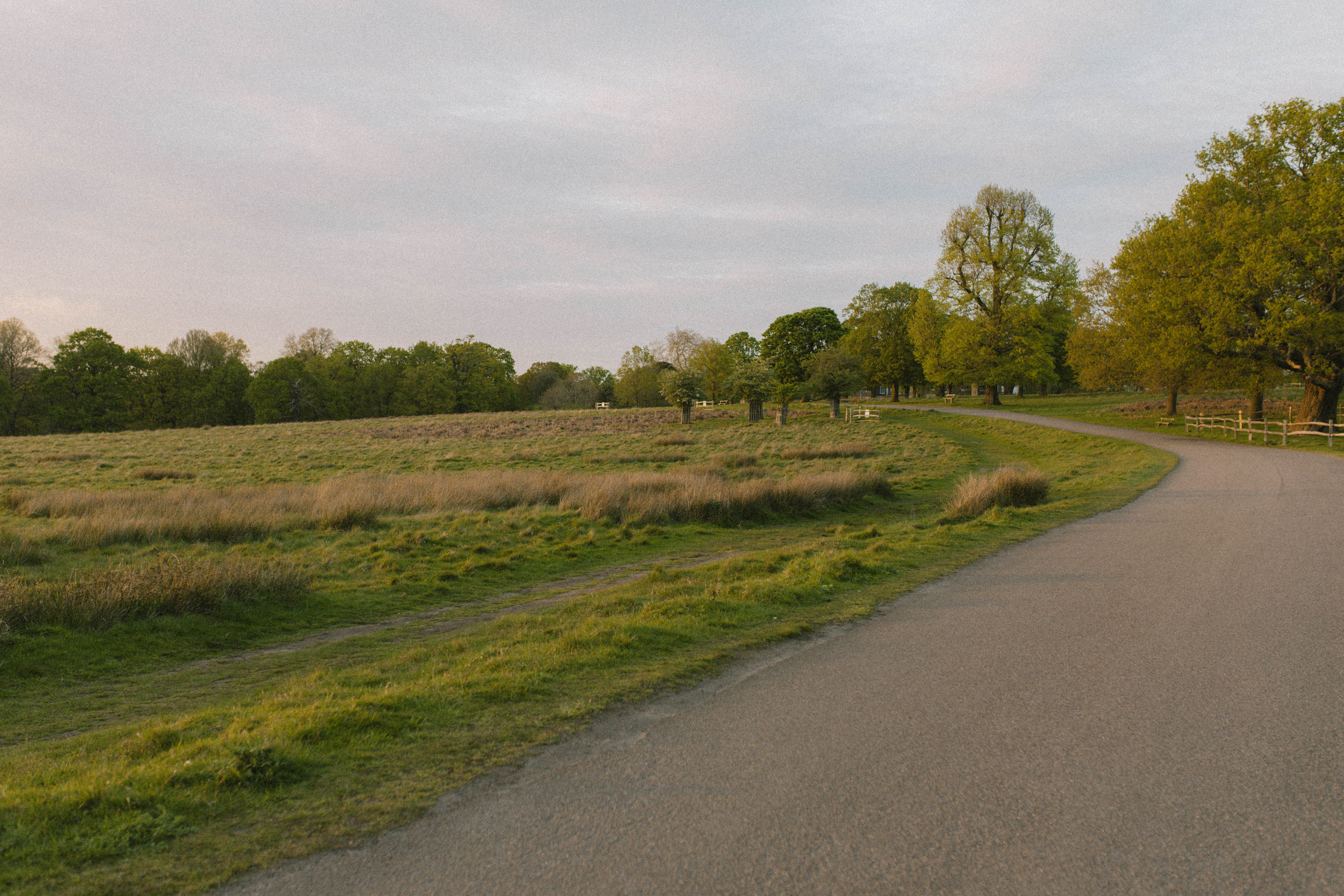 Richmond Park 73