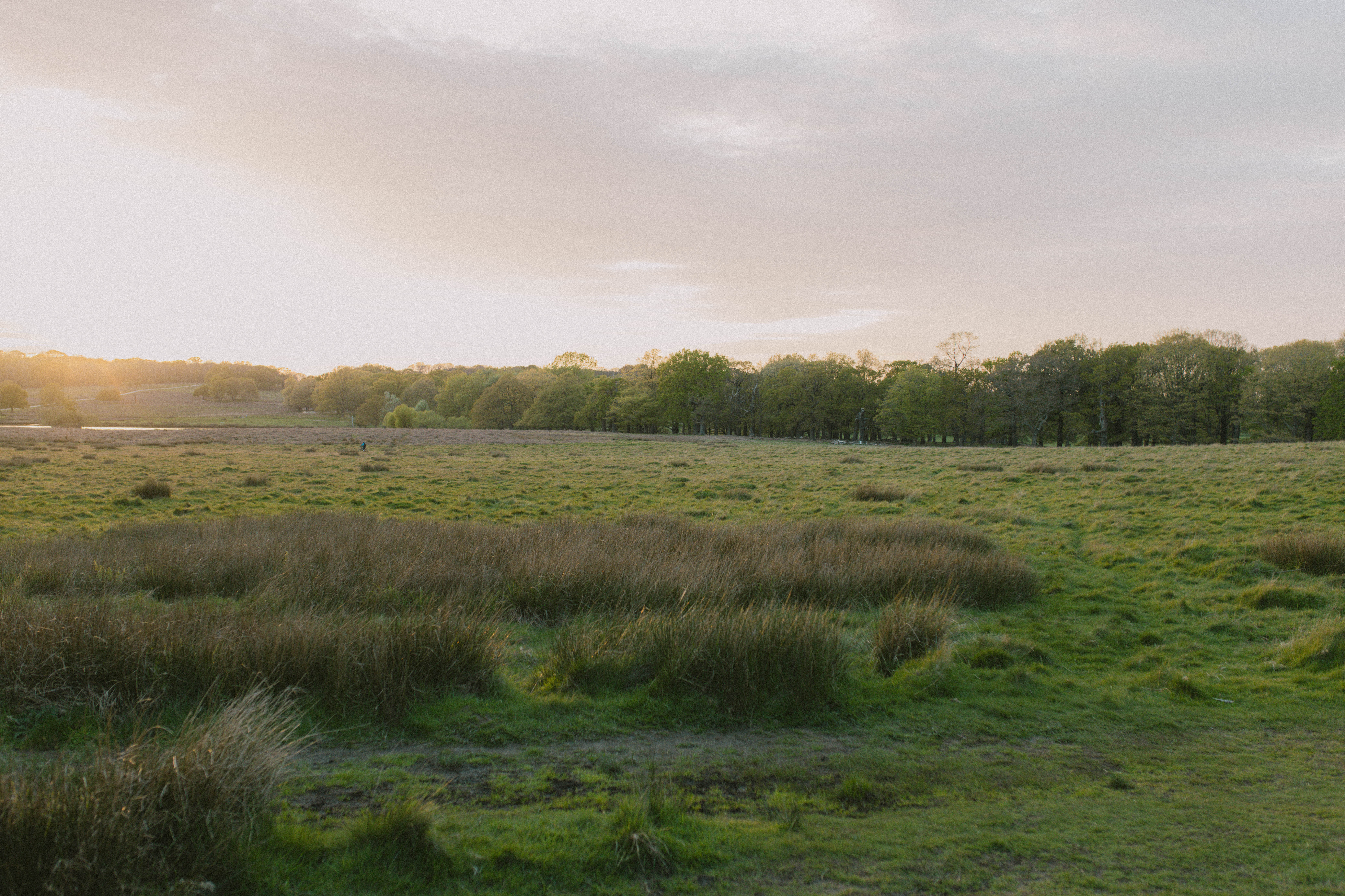 Richmond Park 75