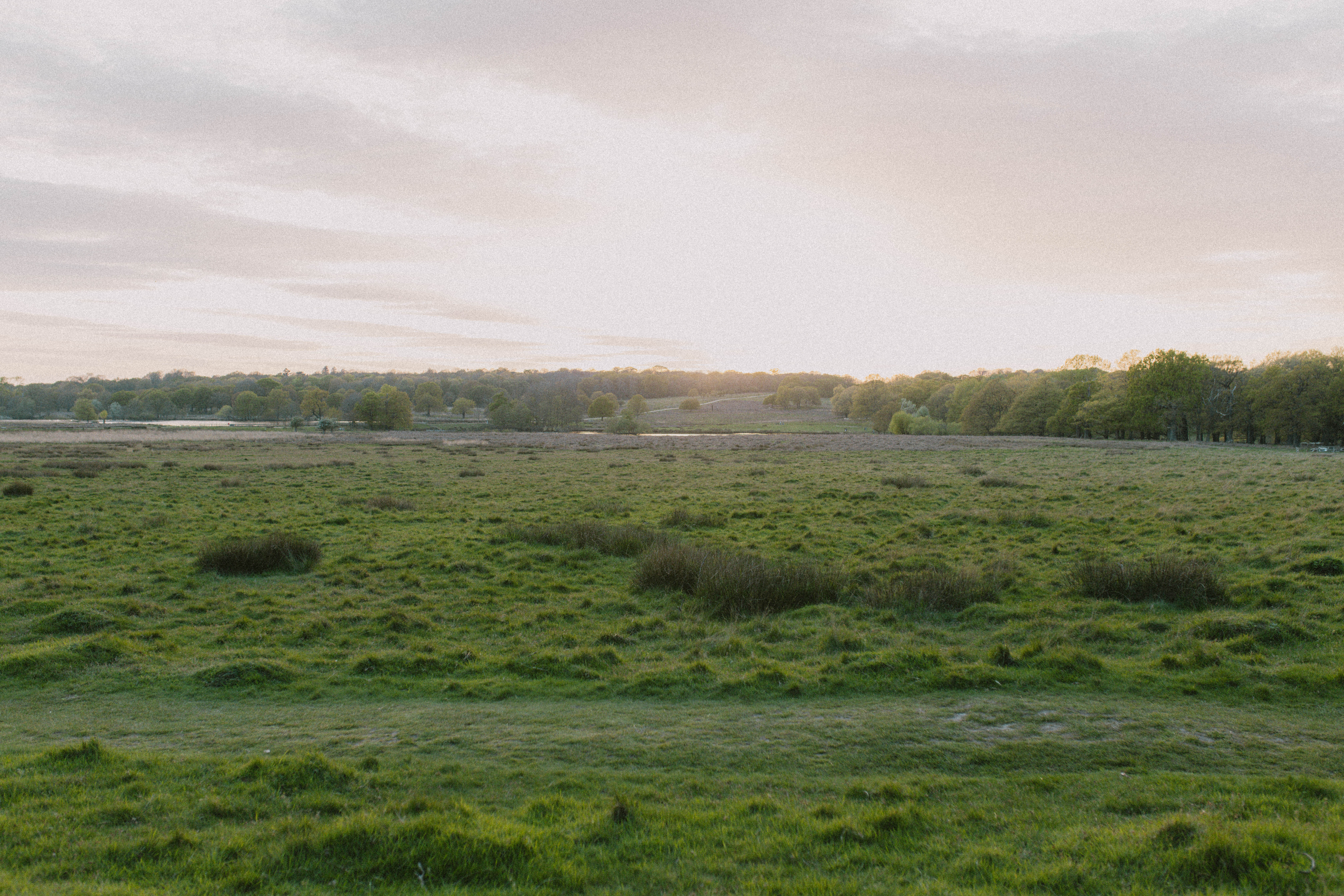 Richmond Park 76