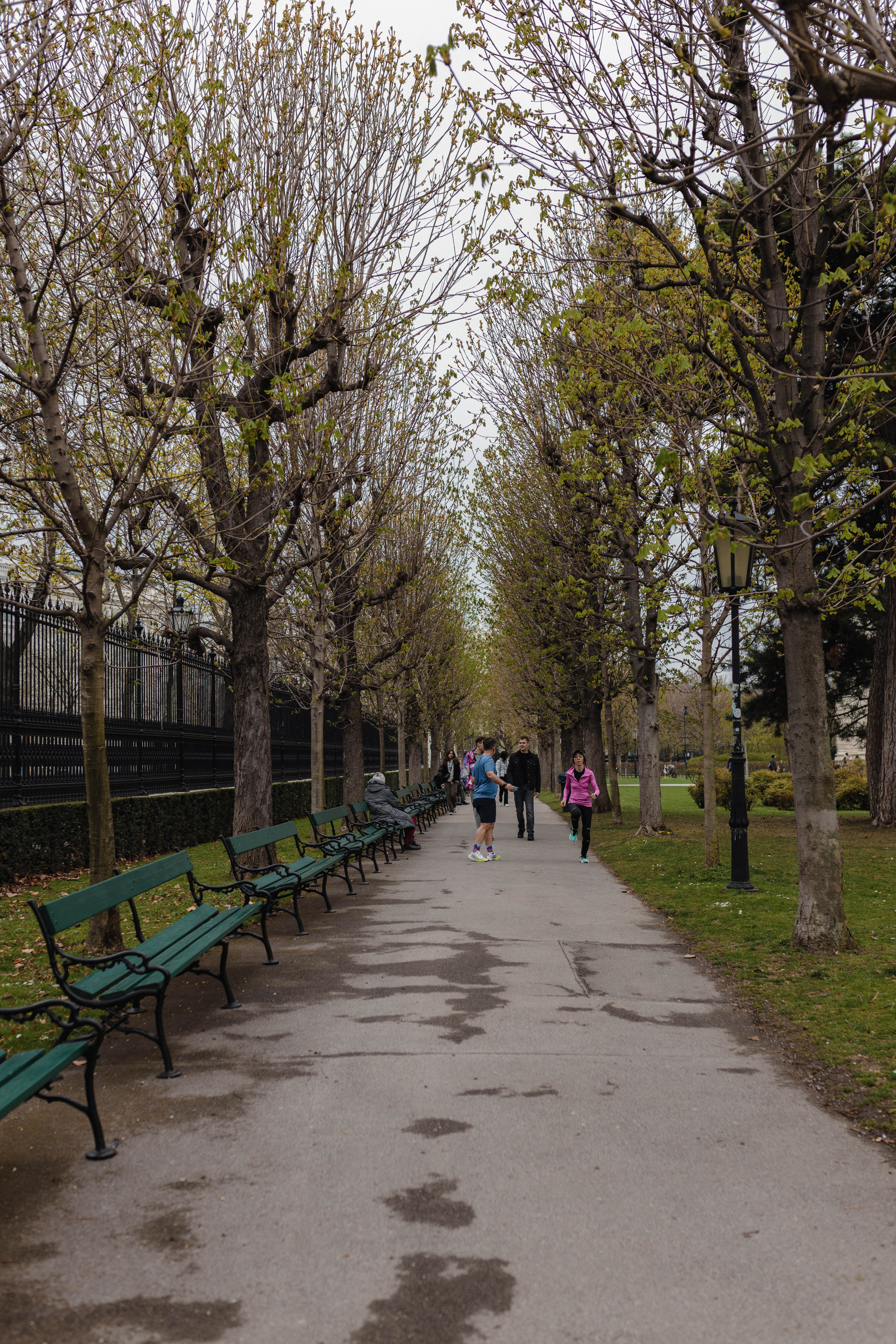 Vienna 89