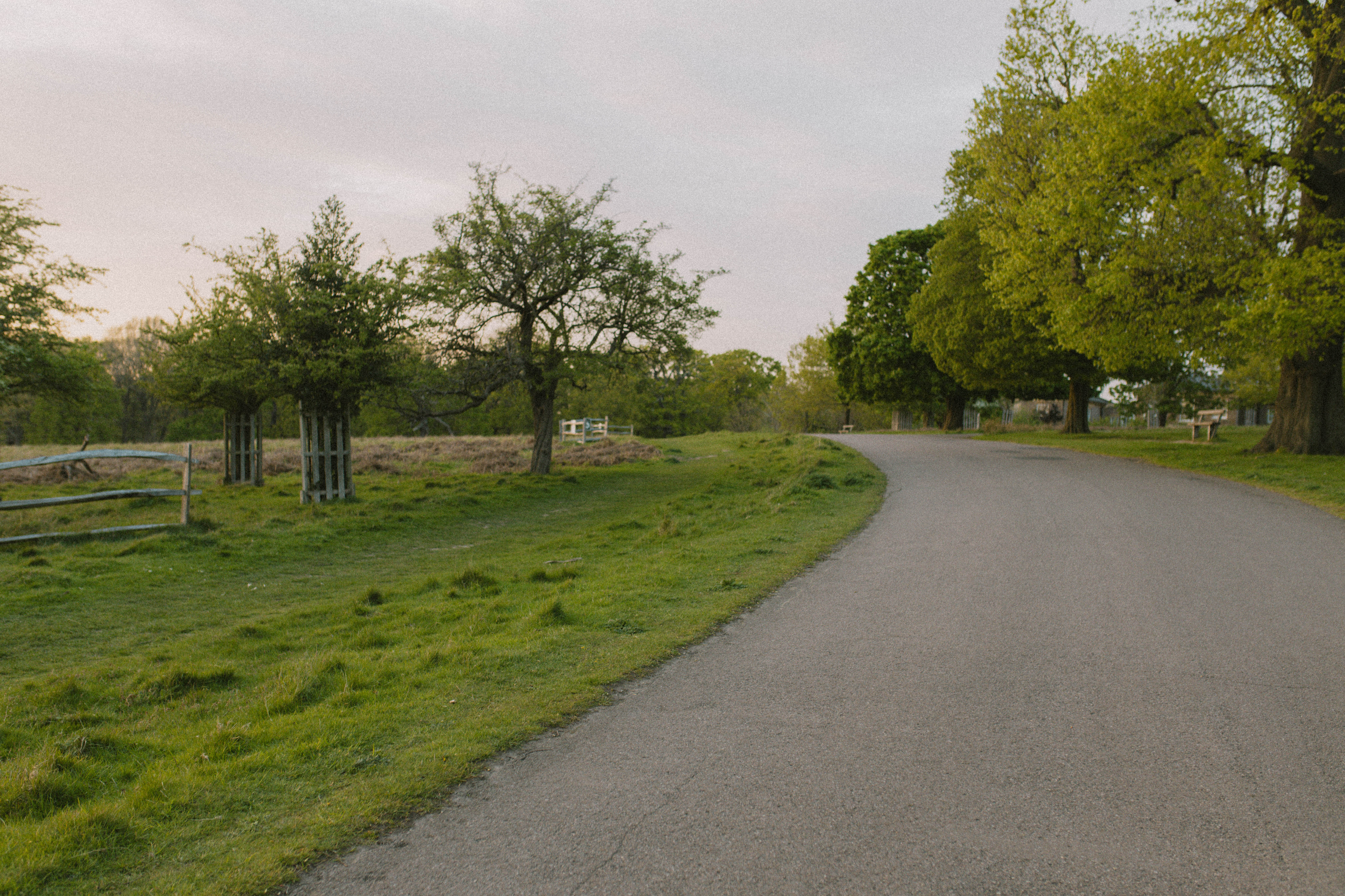 Richmond Park 77