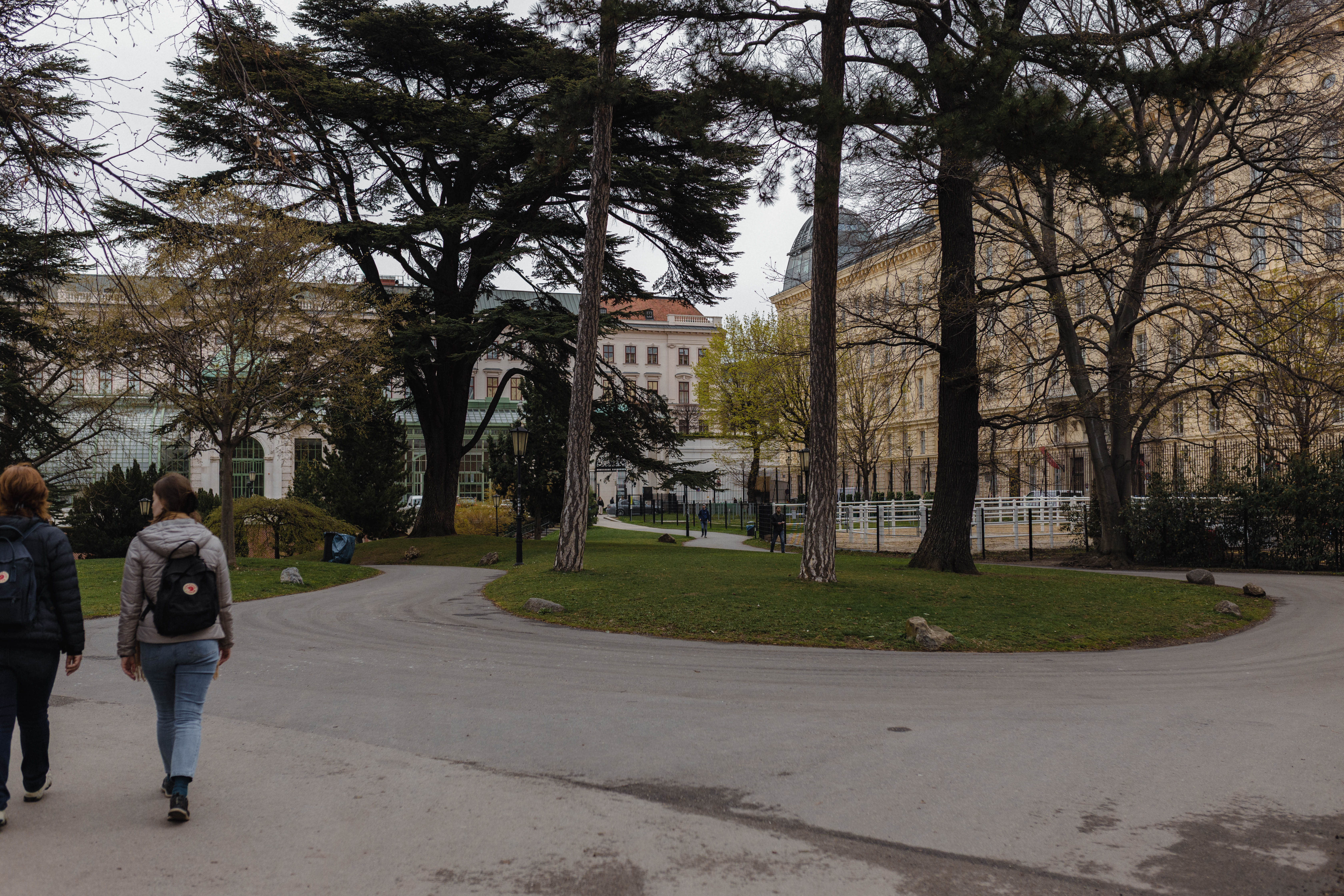Vienna 97