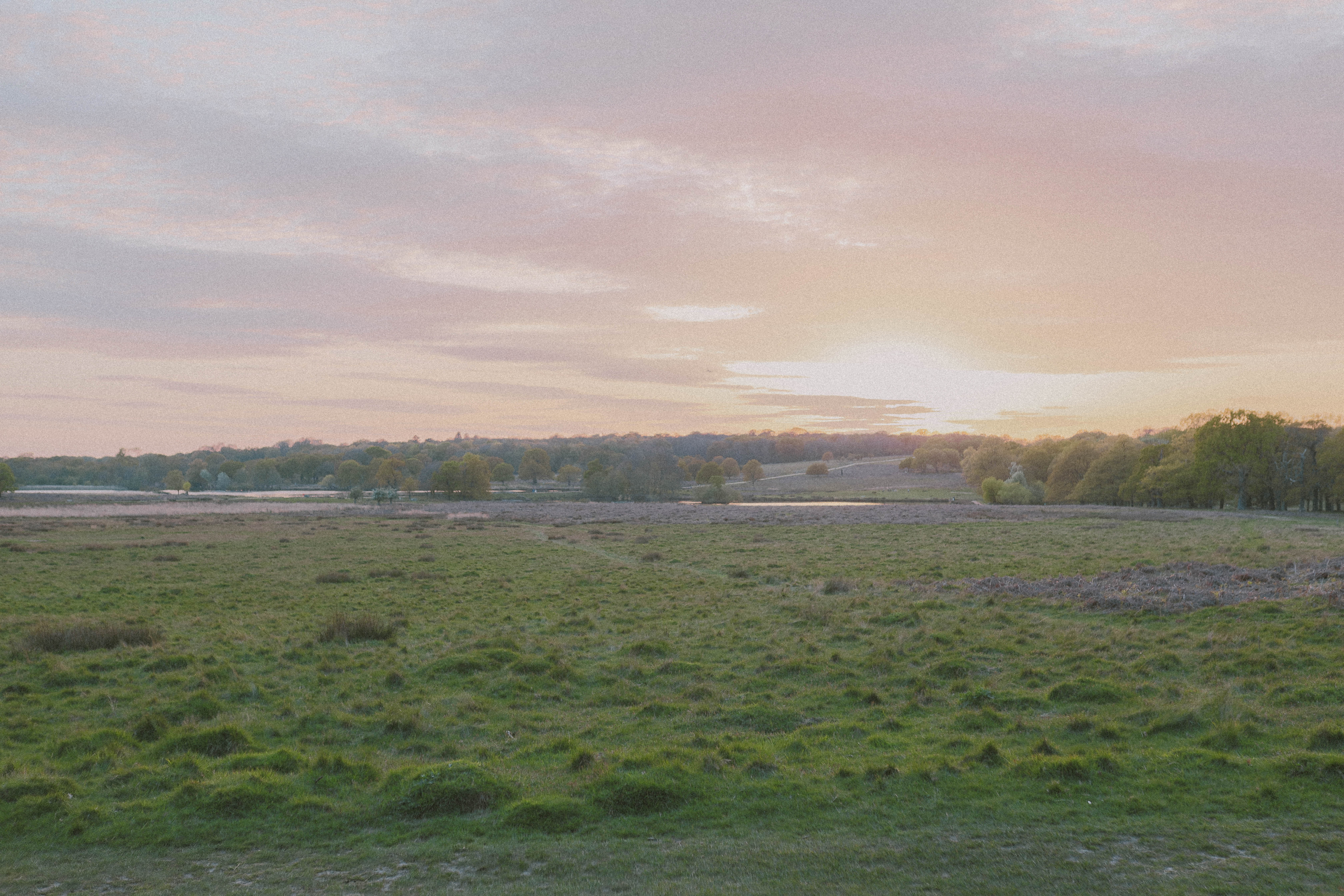 Richmond Park 78