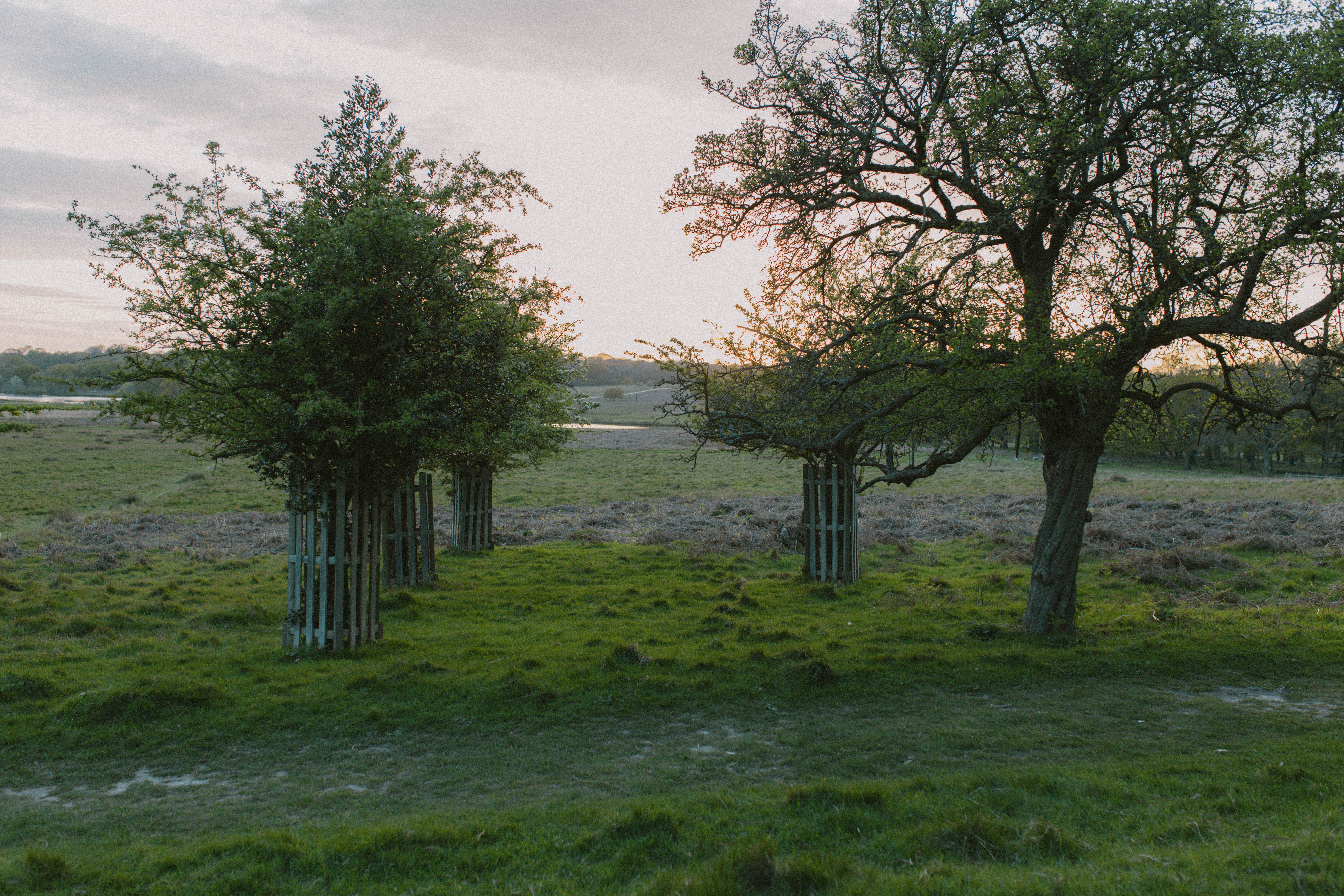 Richmond Park 79