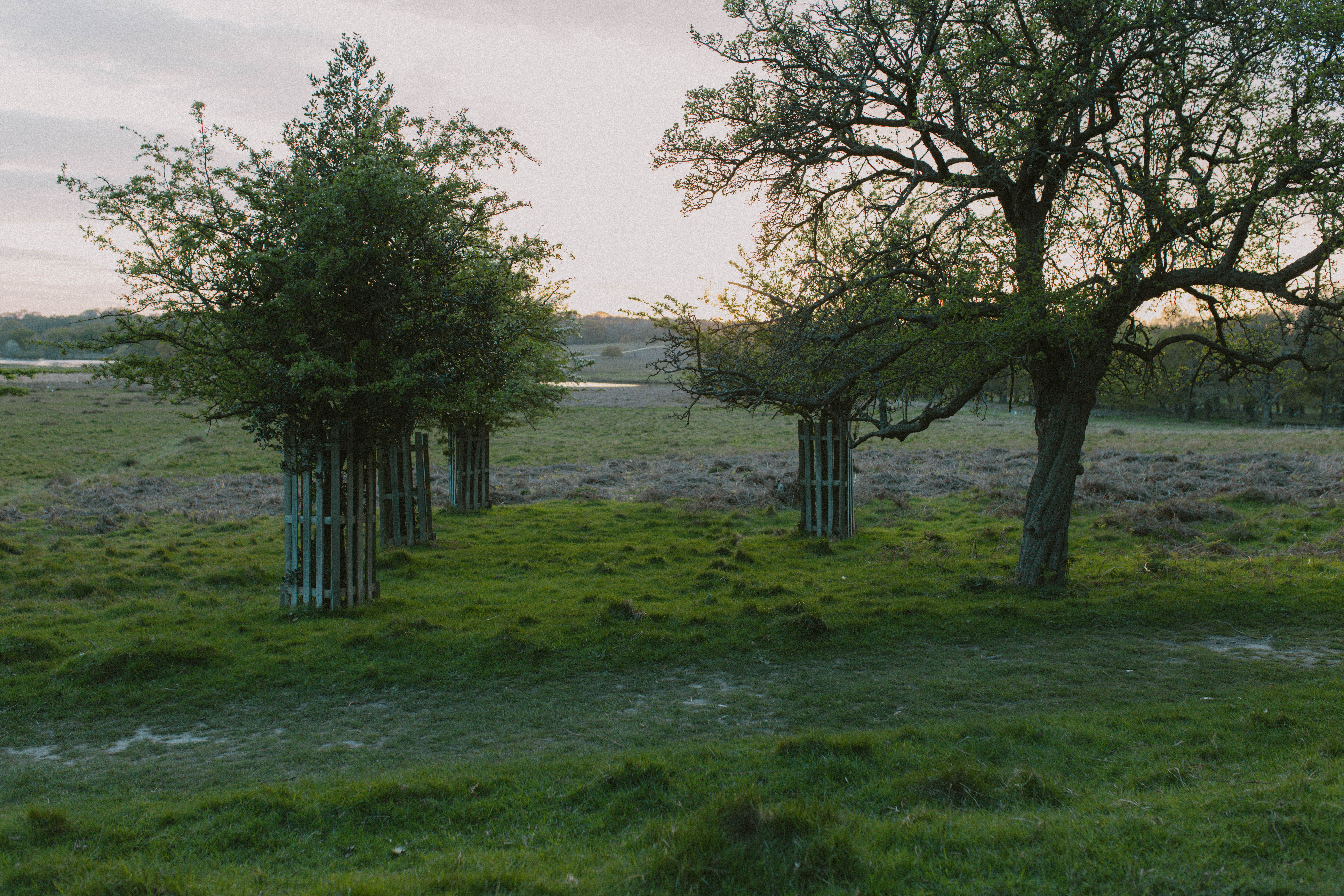 Richmond Park 80
