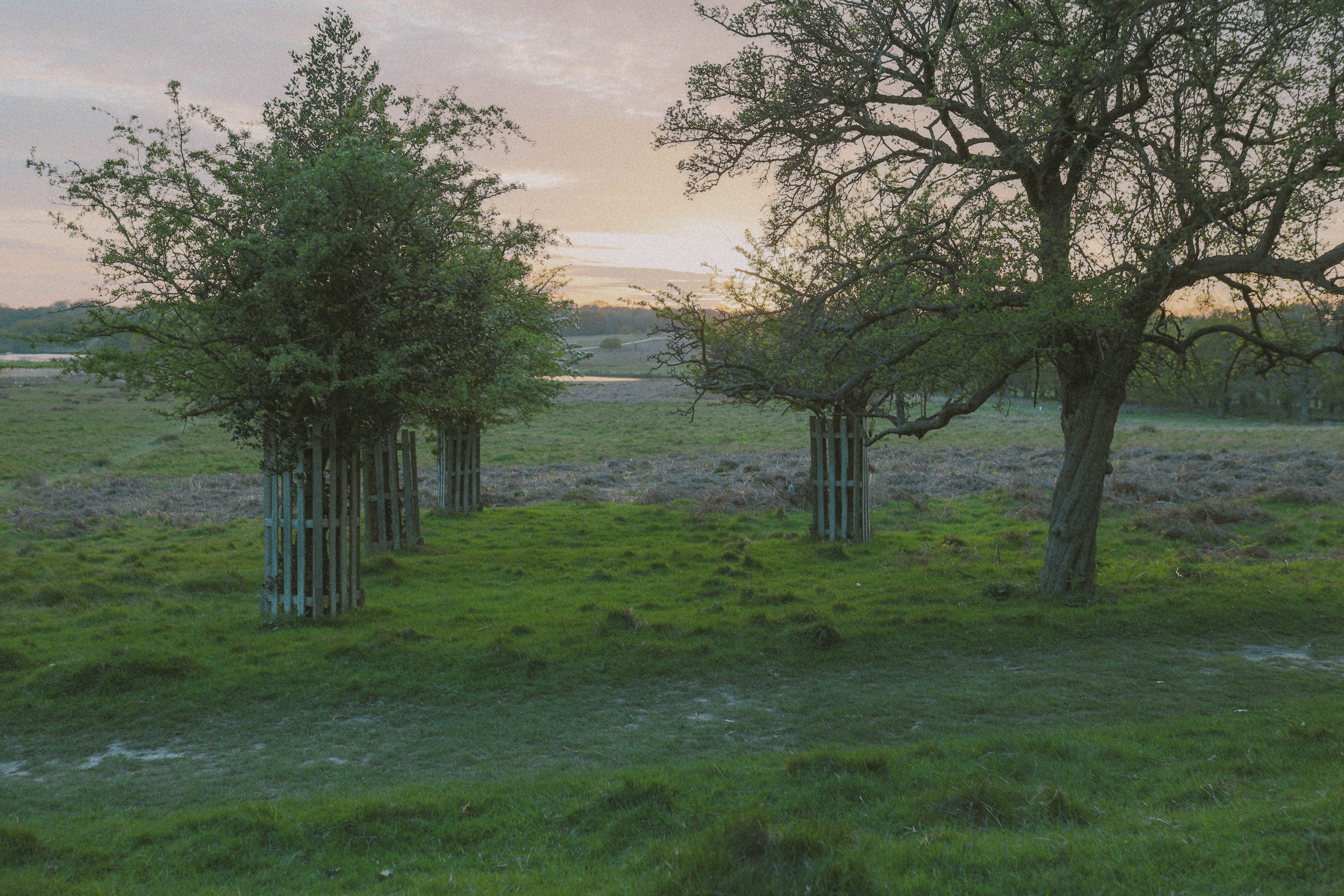 Richmond Park 81