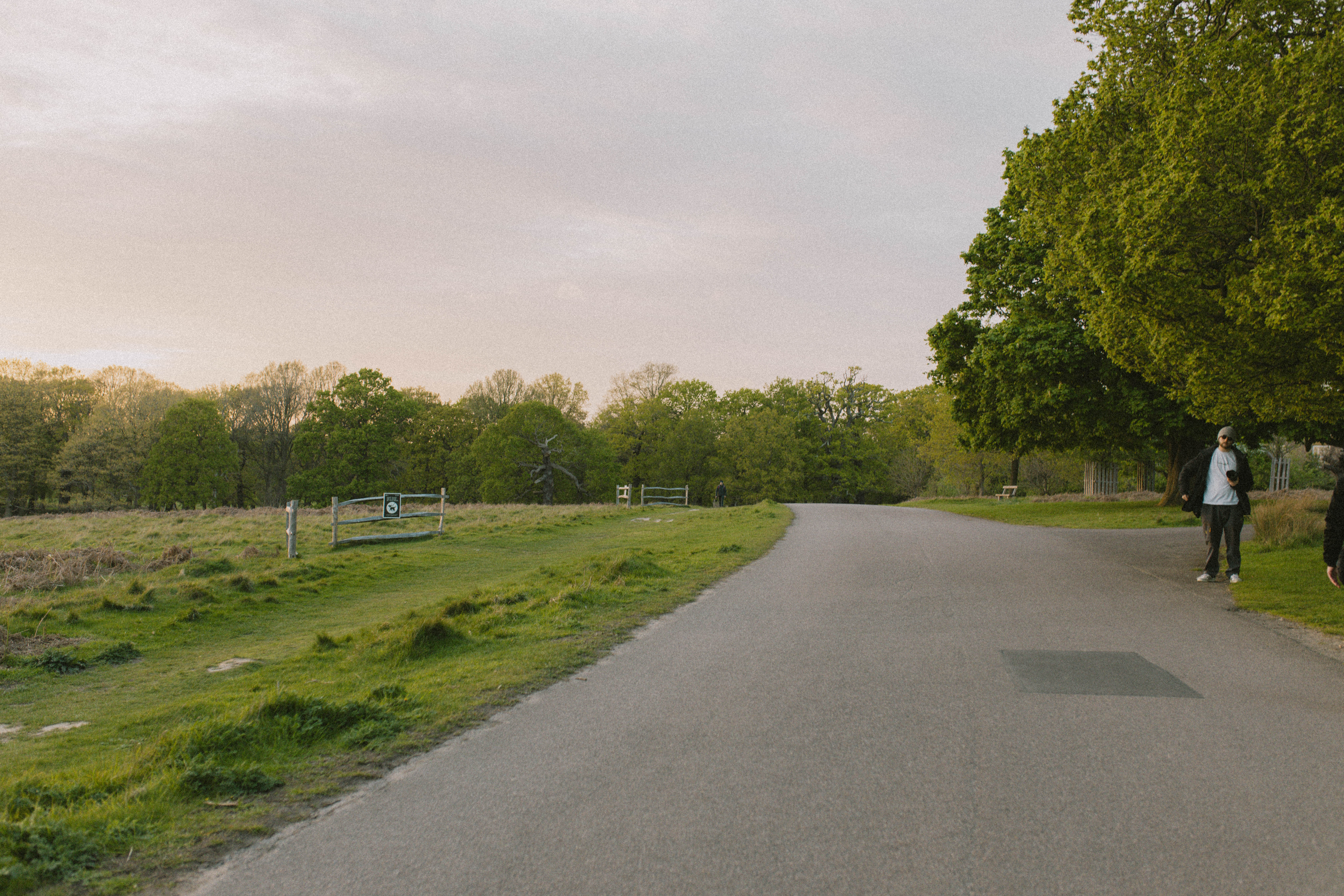 Richmond Park 82