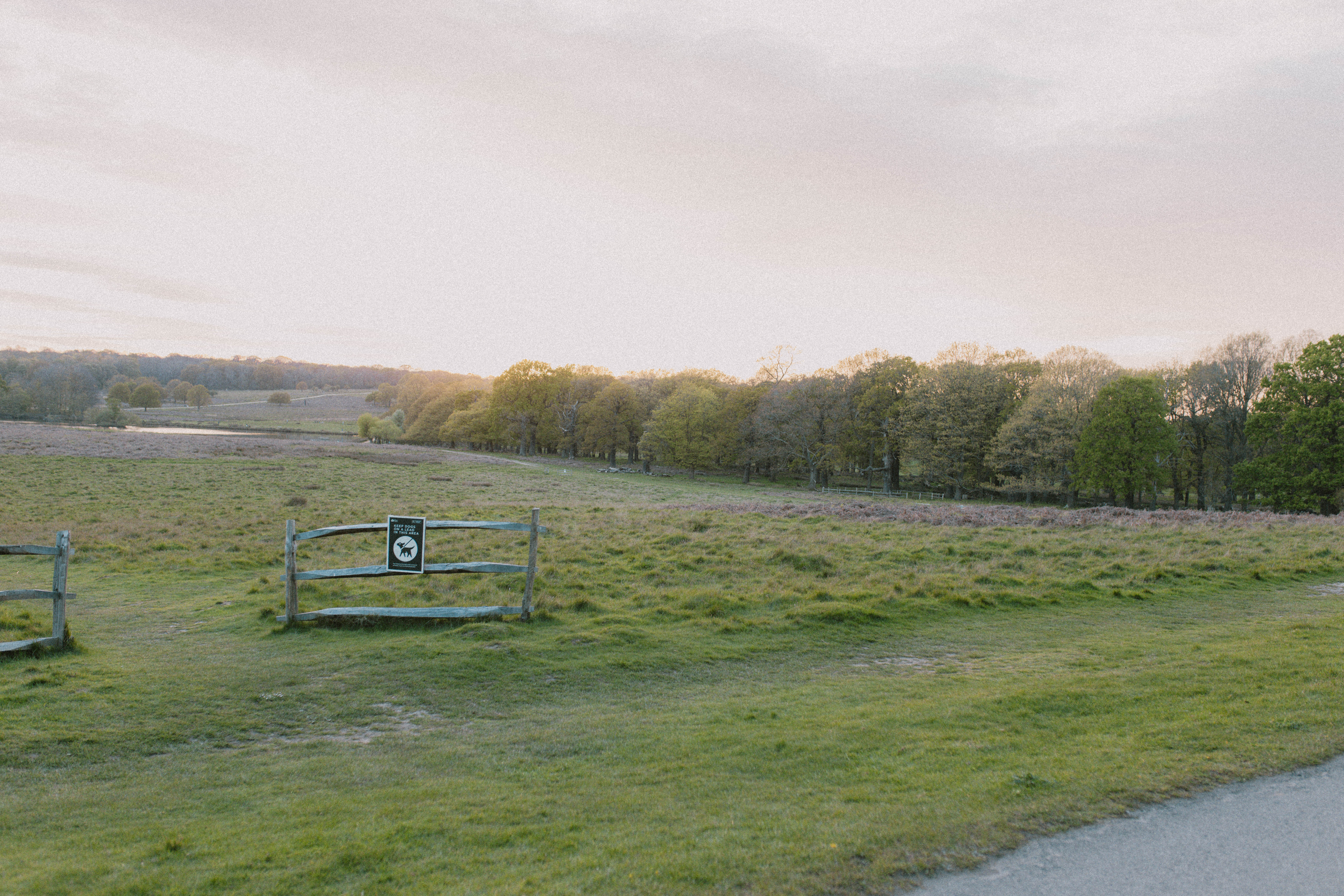 Richmond Park 83