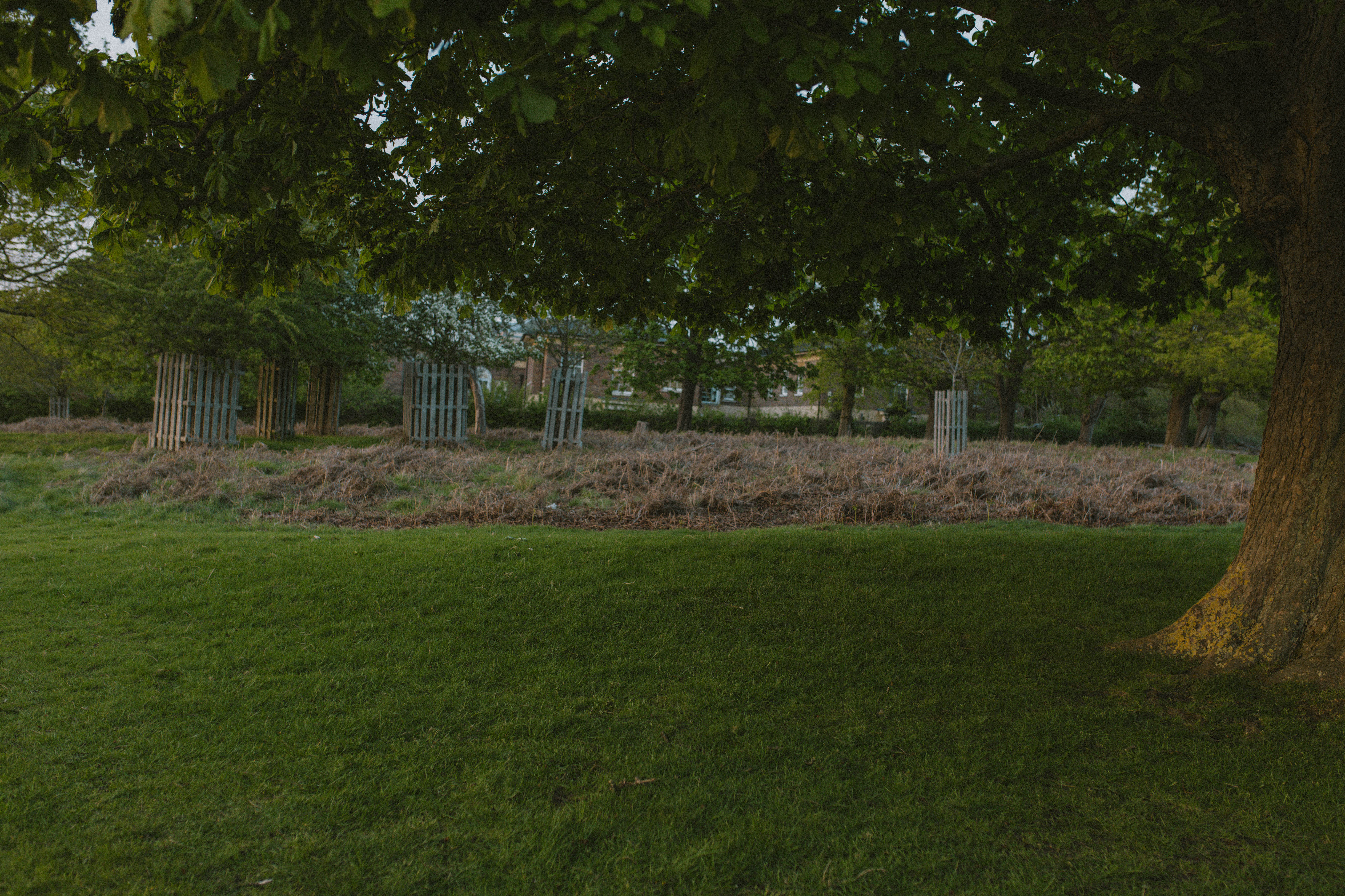 Richmond Park 84