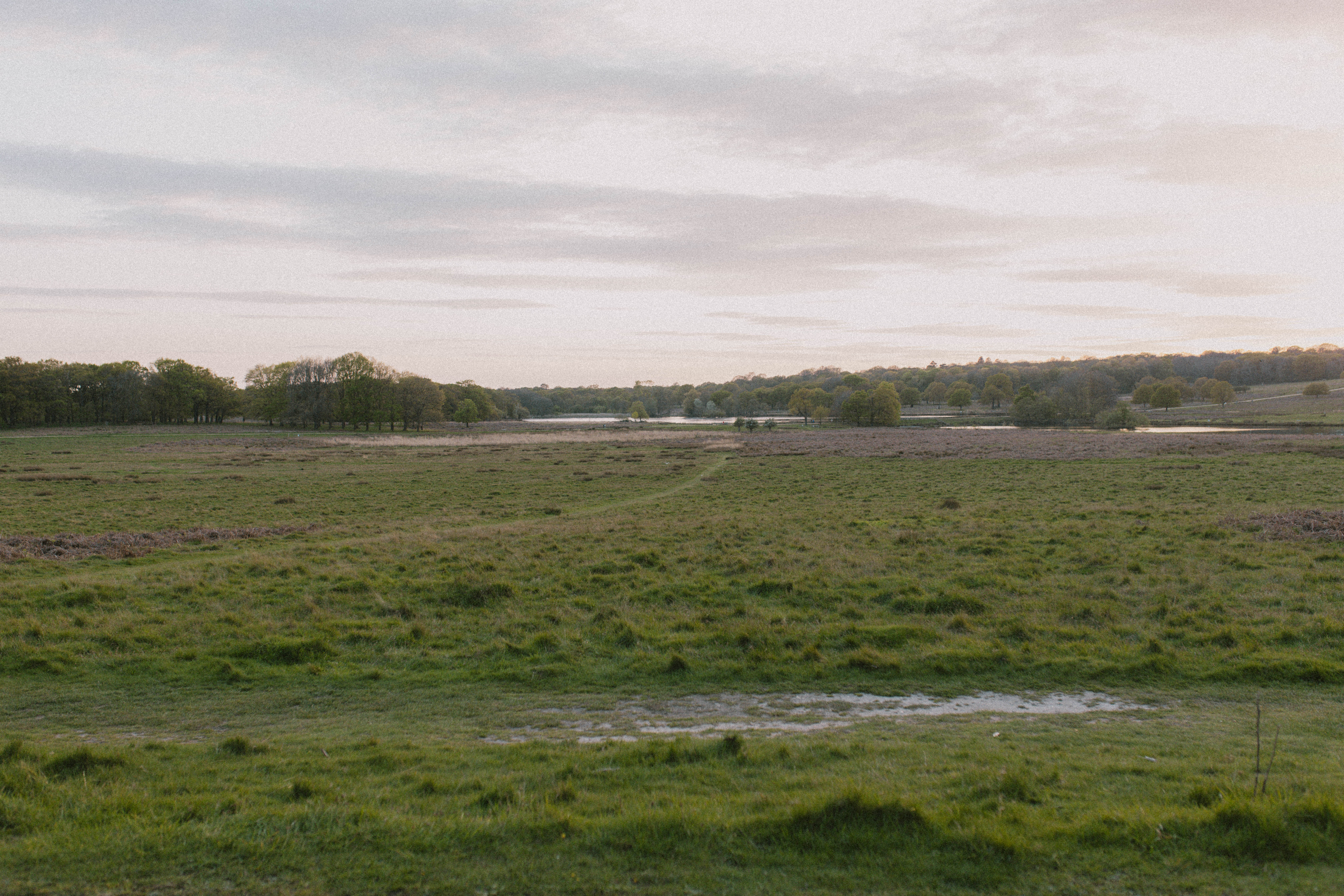 Richmond Park 85