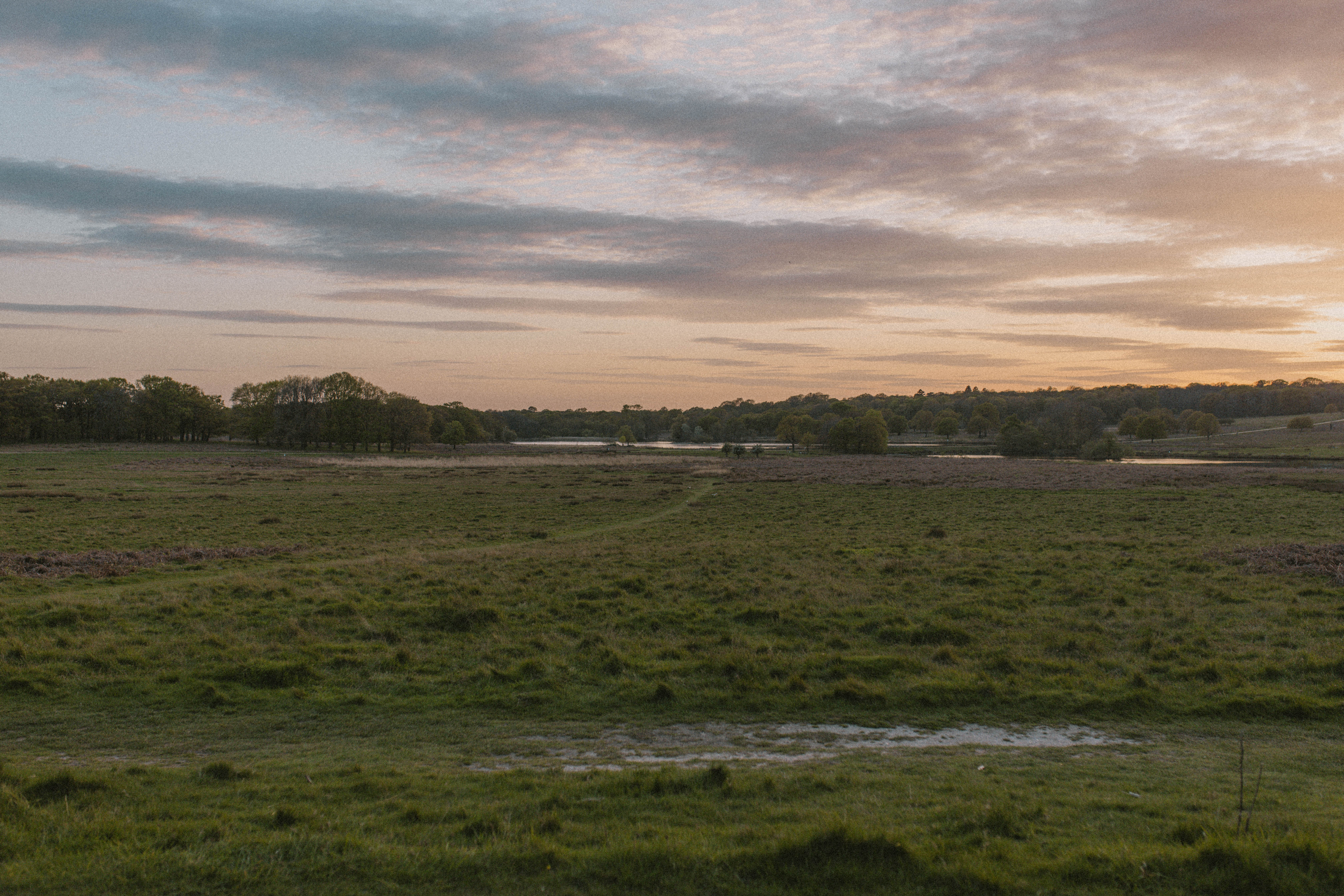 Richmond Park 87