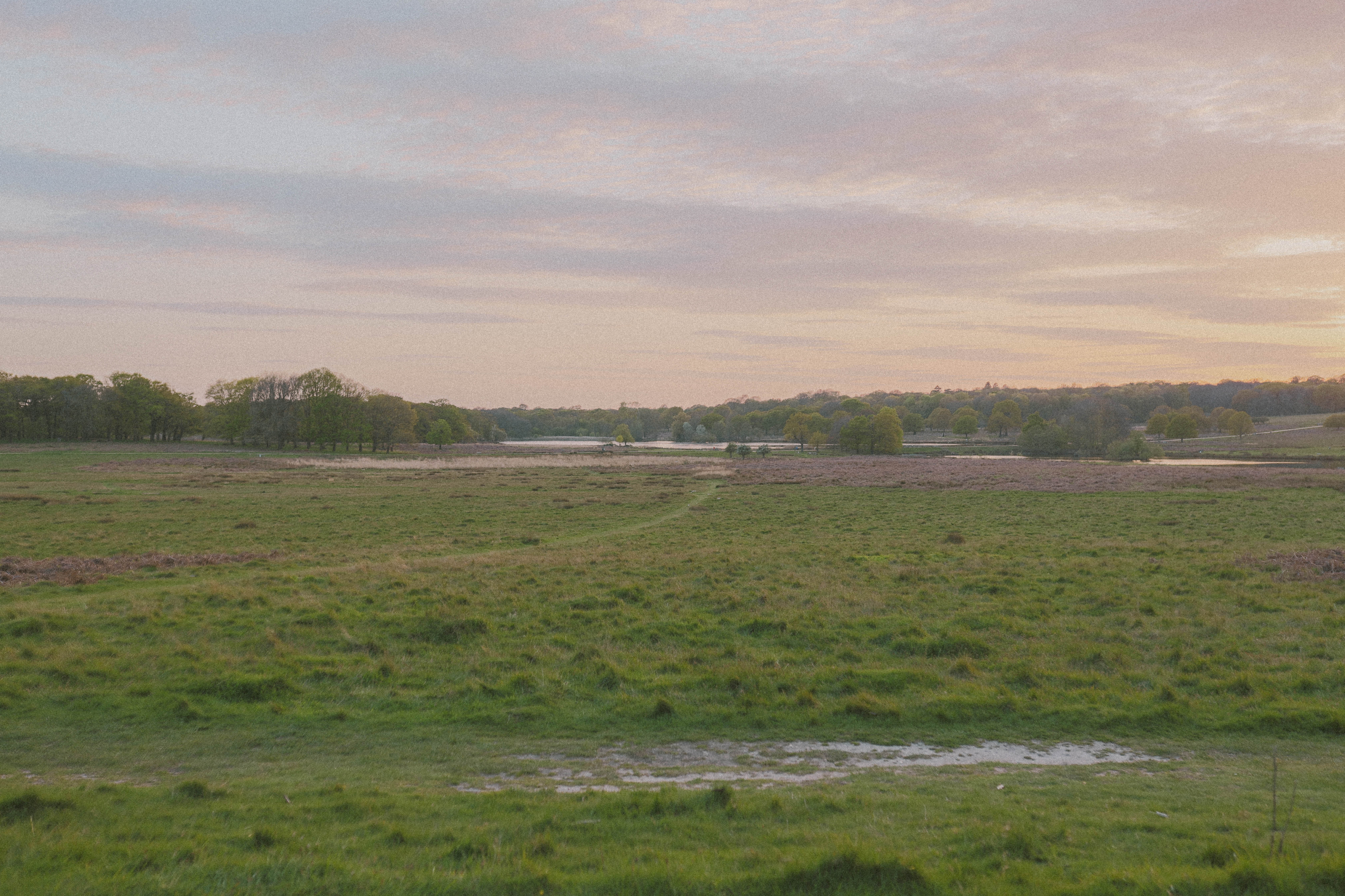 Richmond Park 88