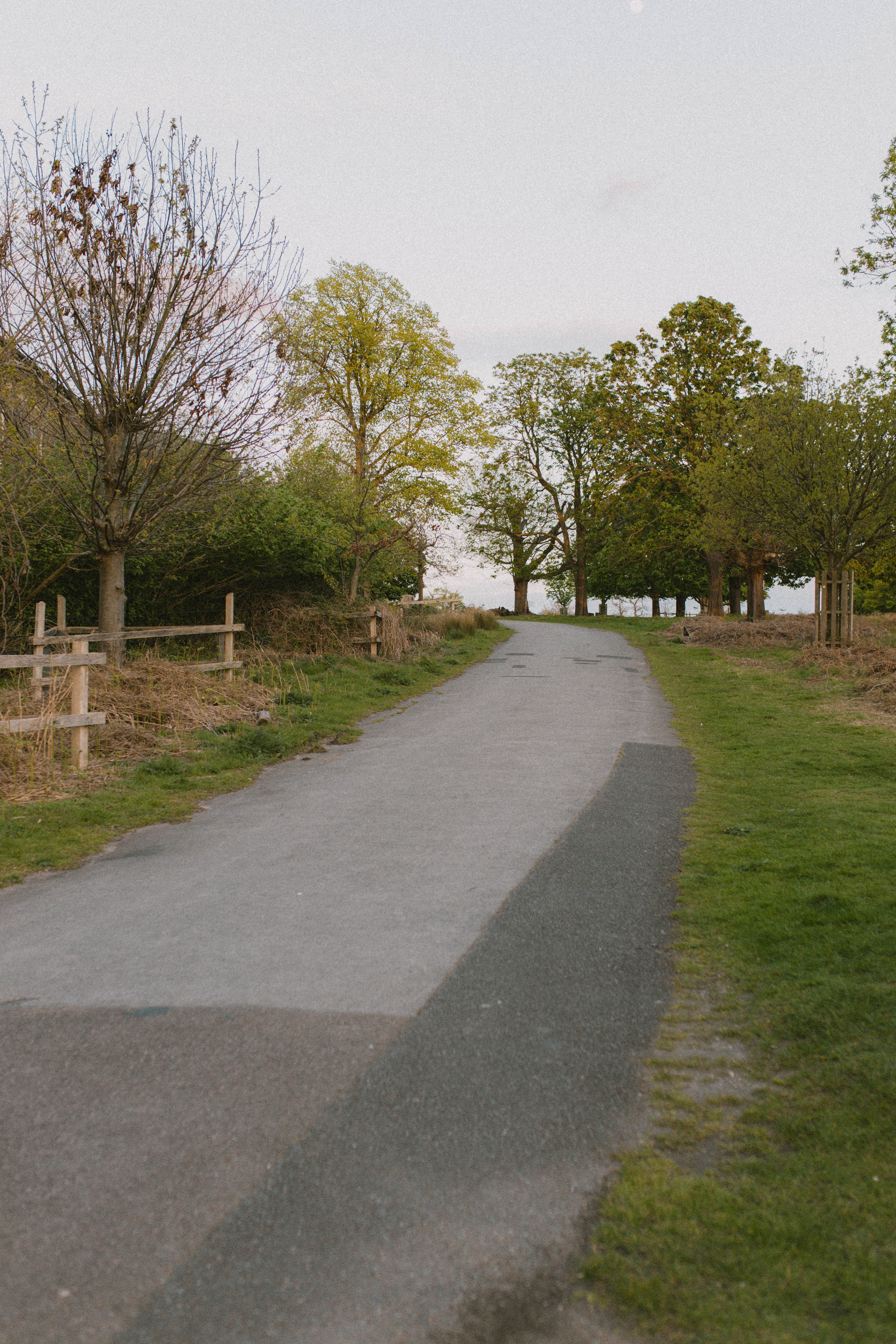 Richmond Park 94