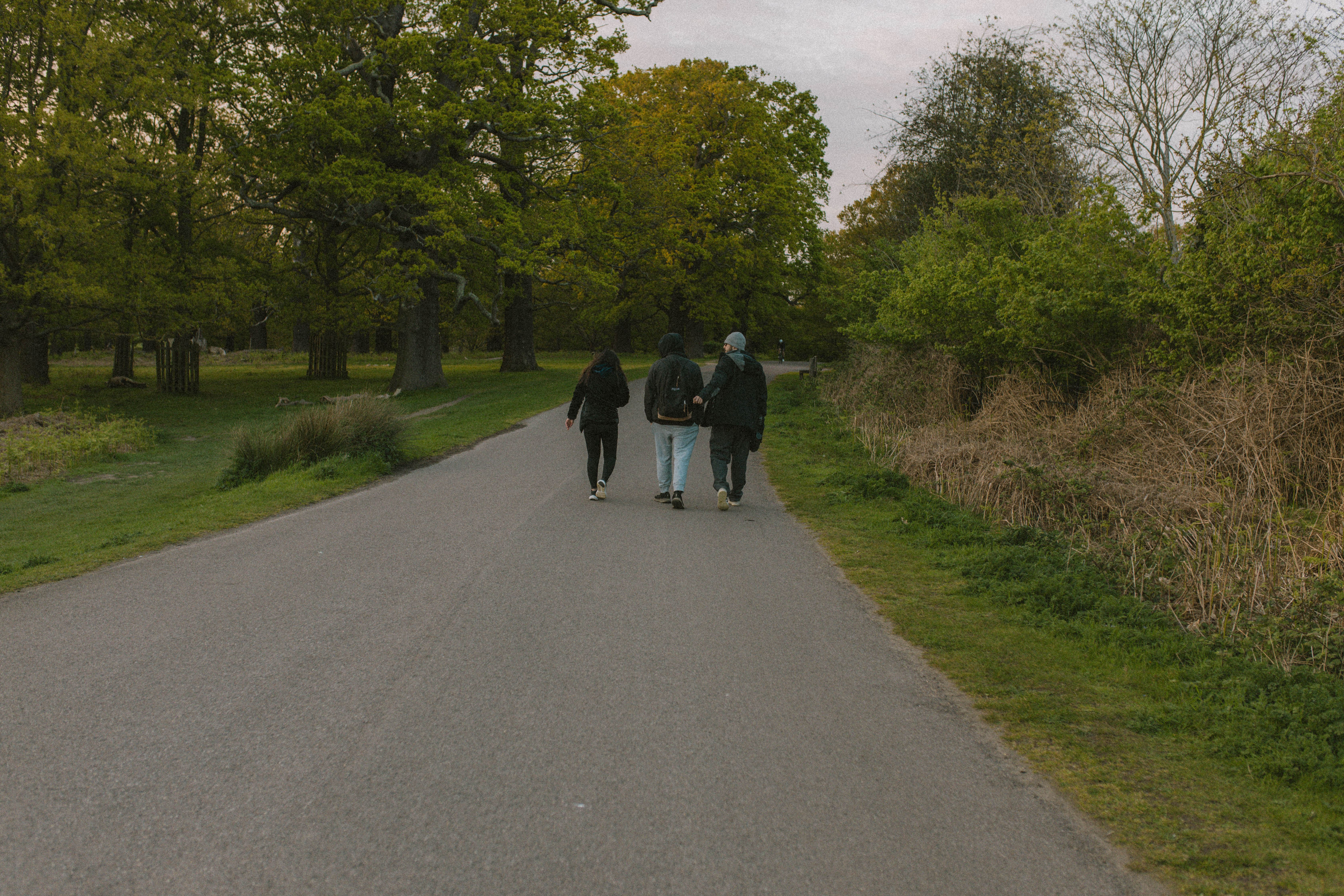 Richmond Park 95