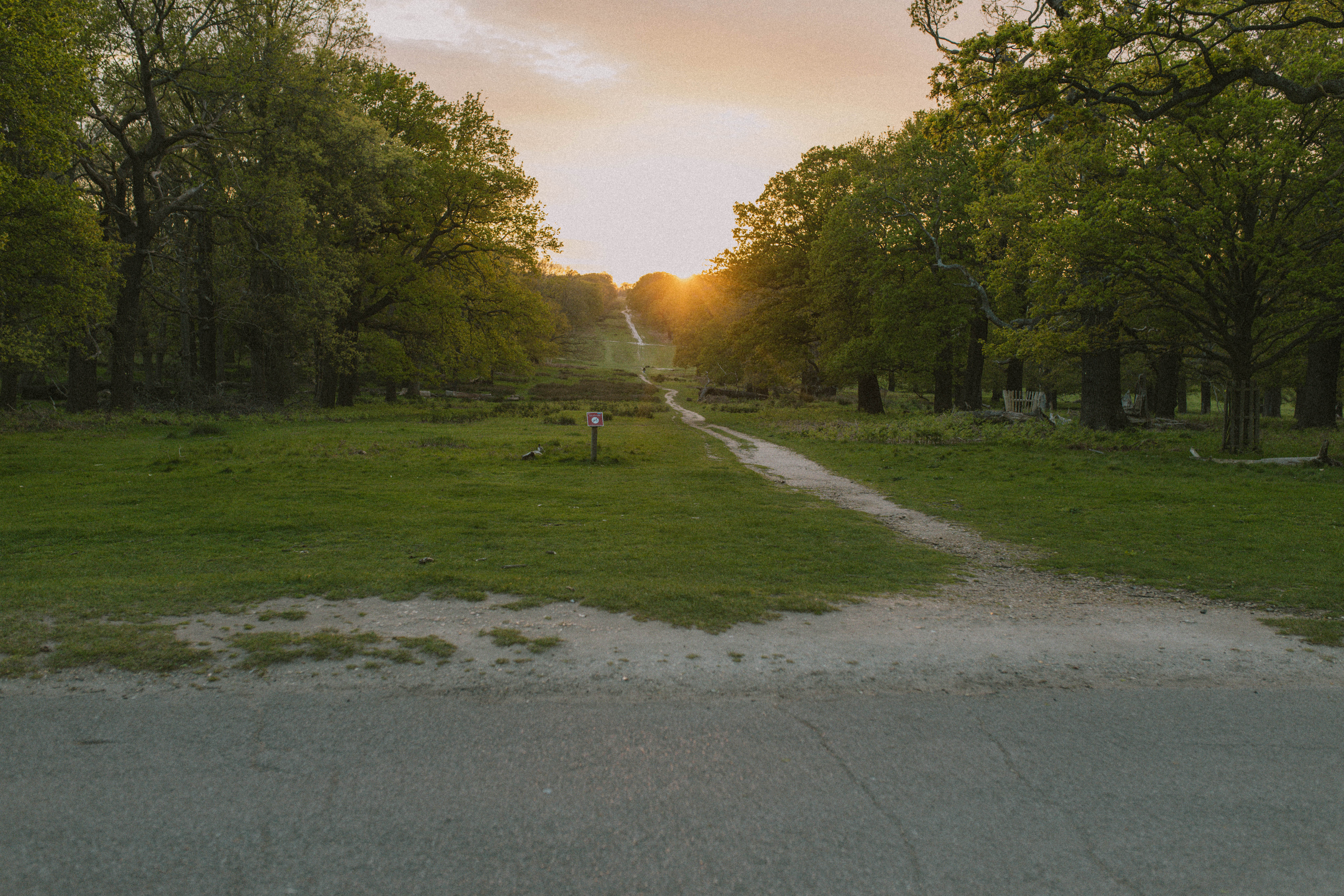 Richmond Park 103