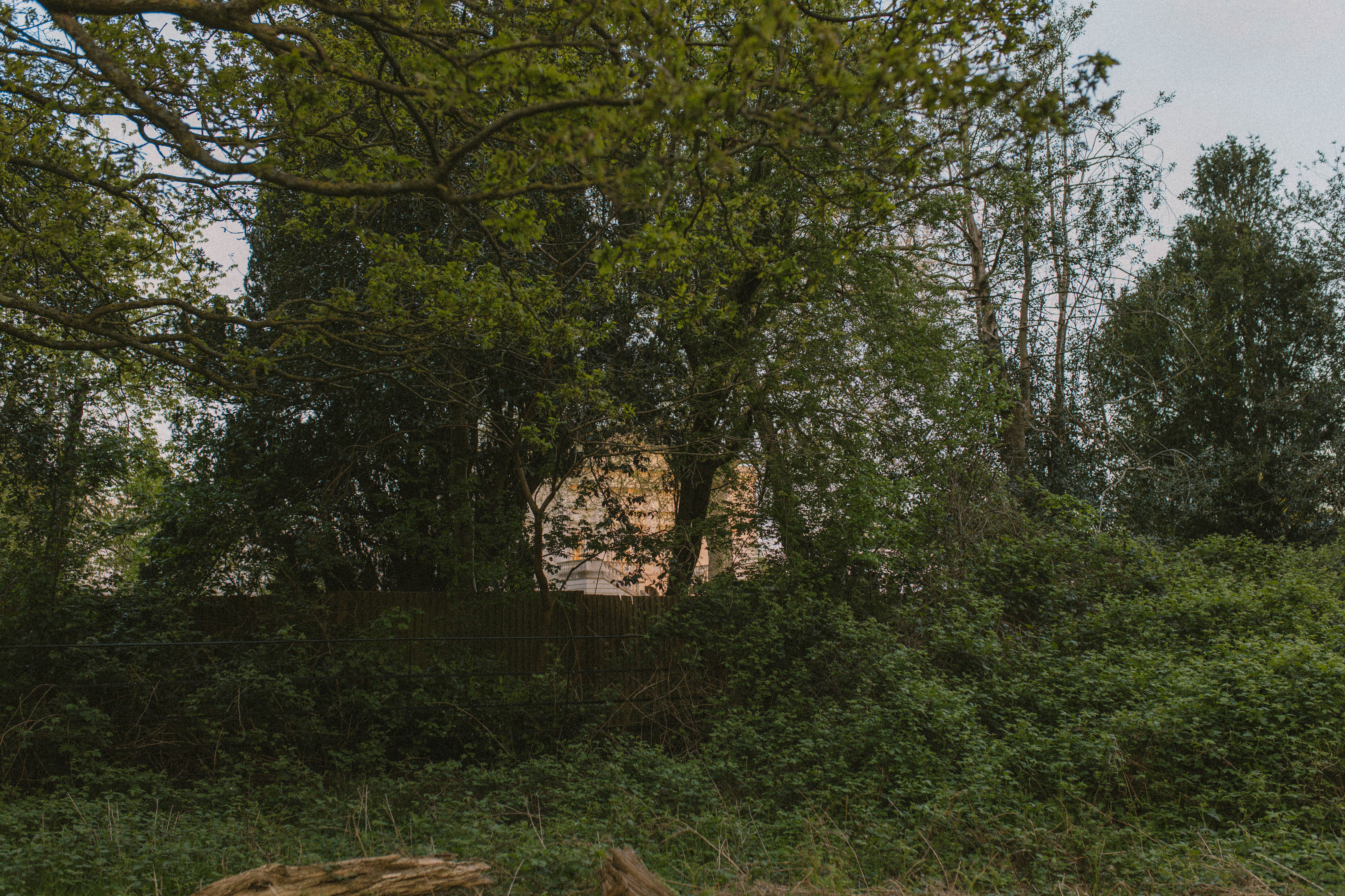 Richmond Park 106