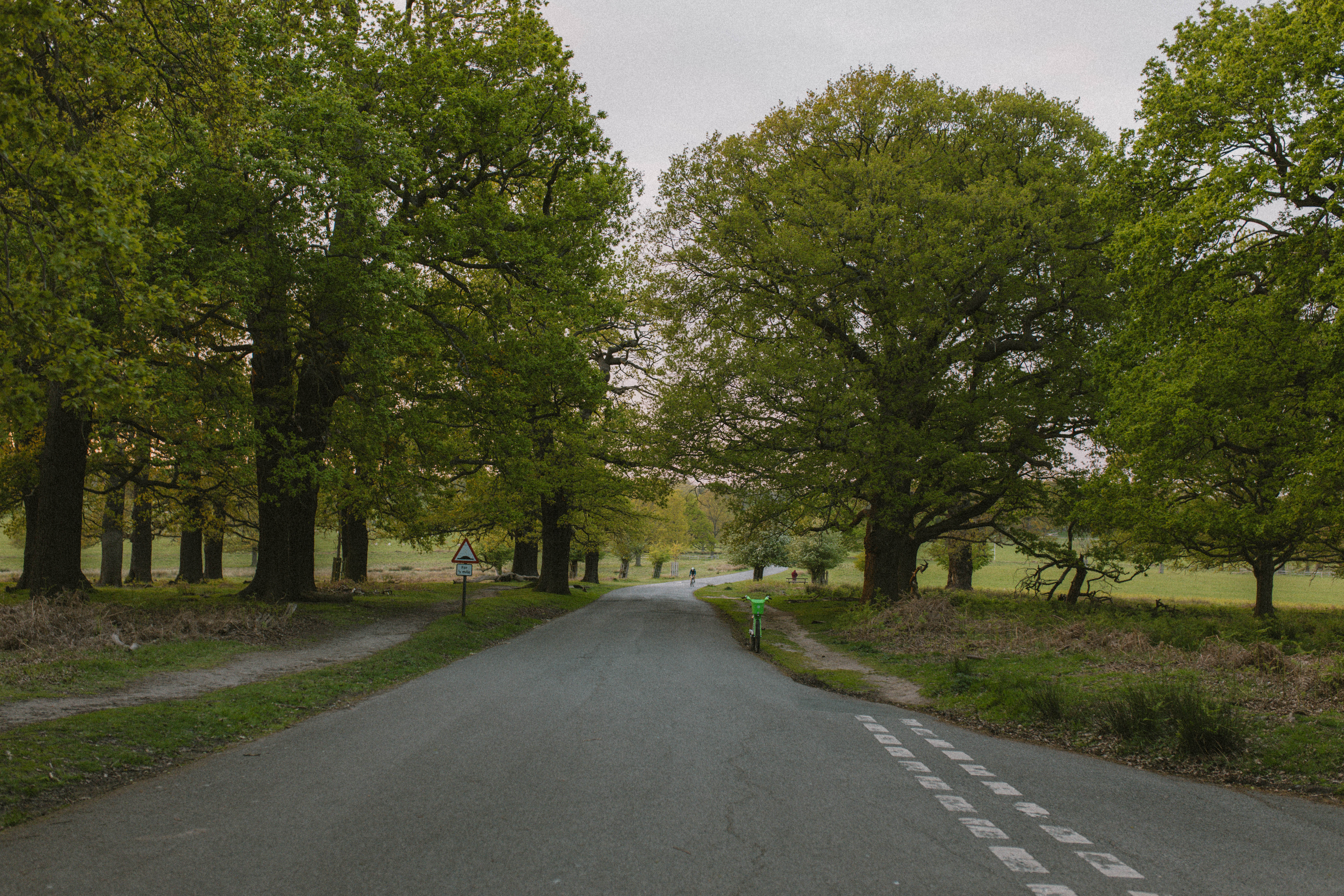 Richmond Park 108