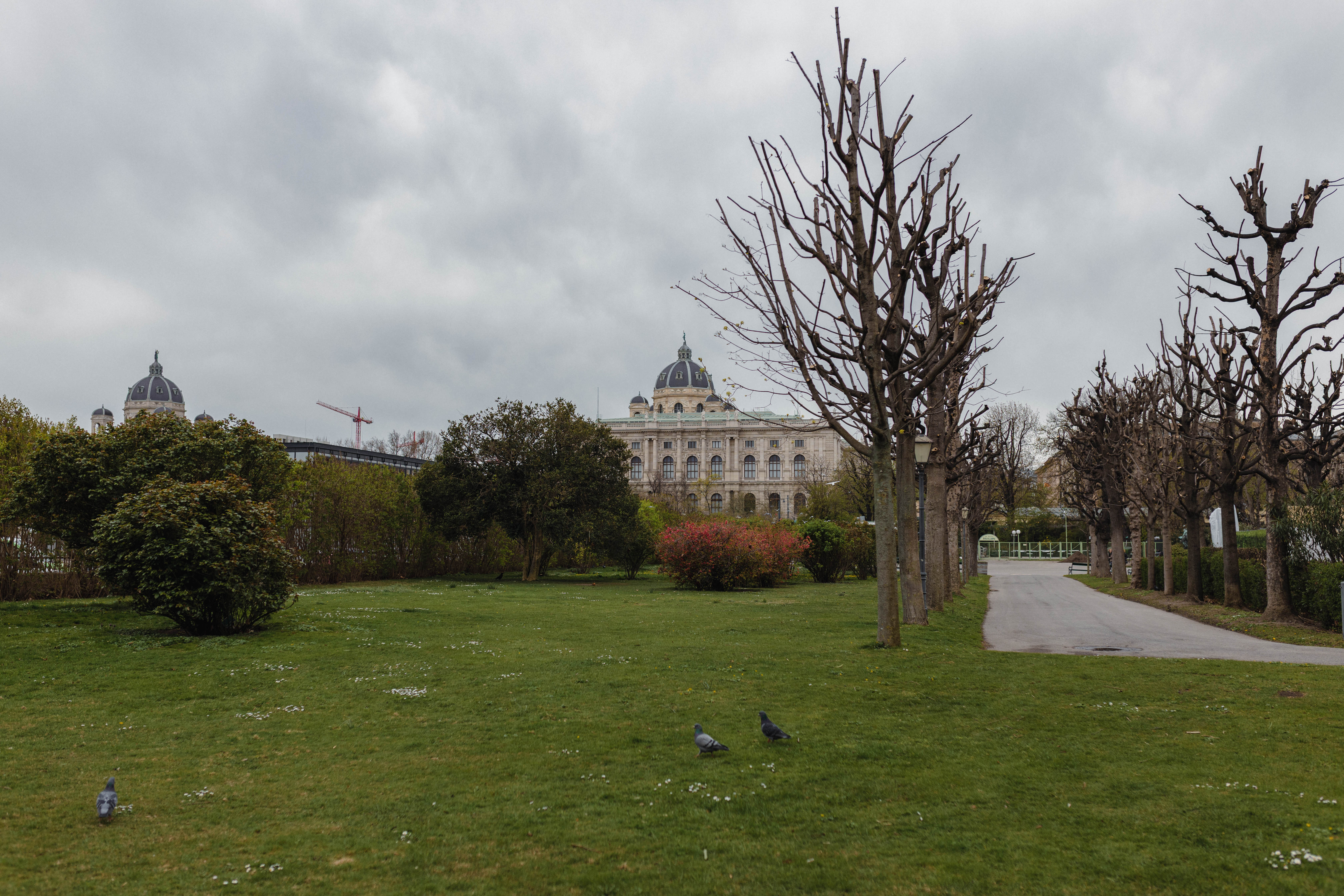Vienna 154