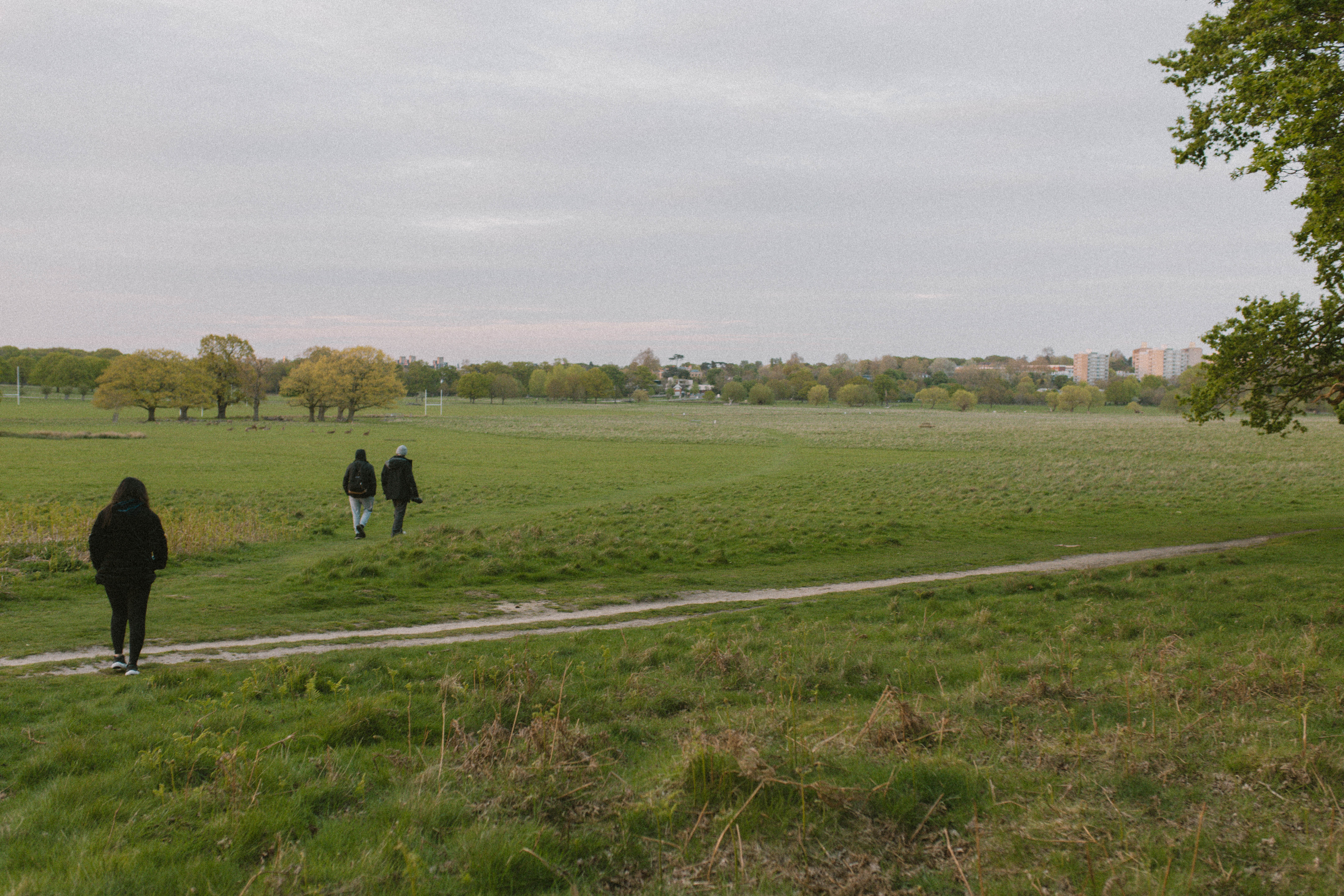 Richmond Park 119