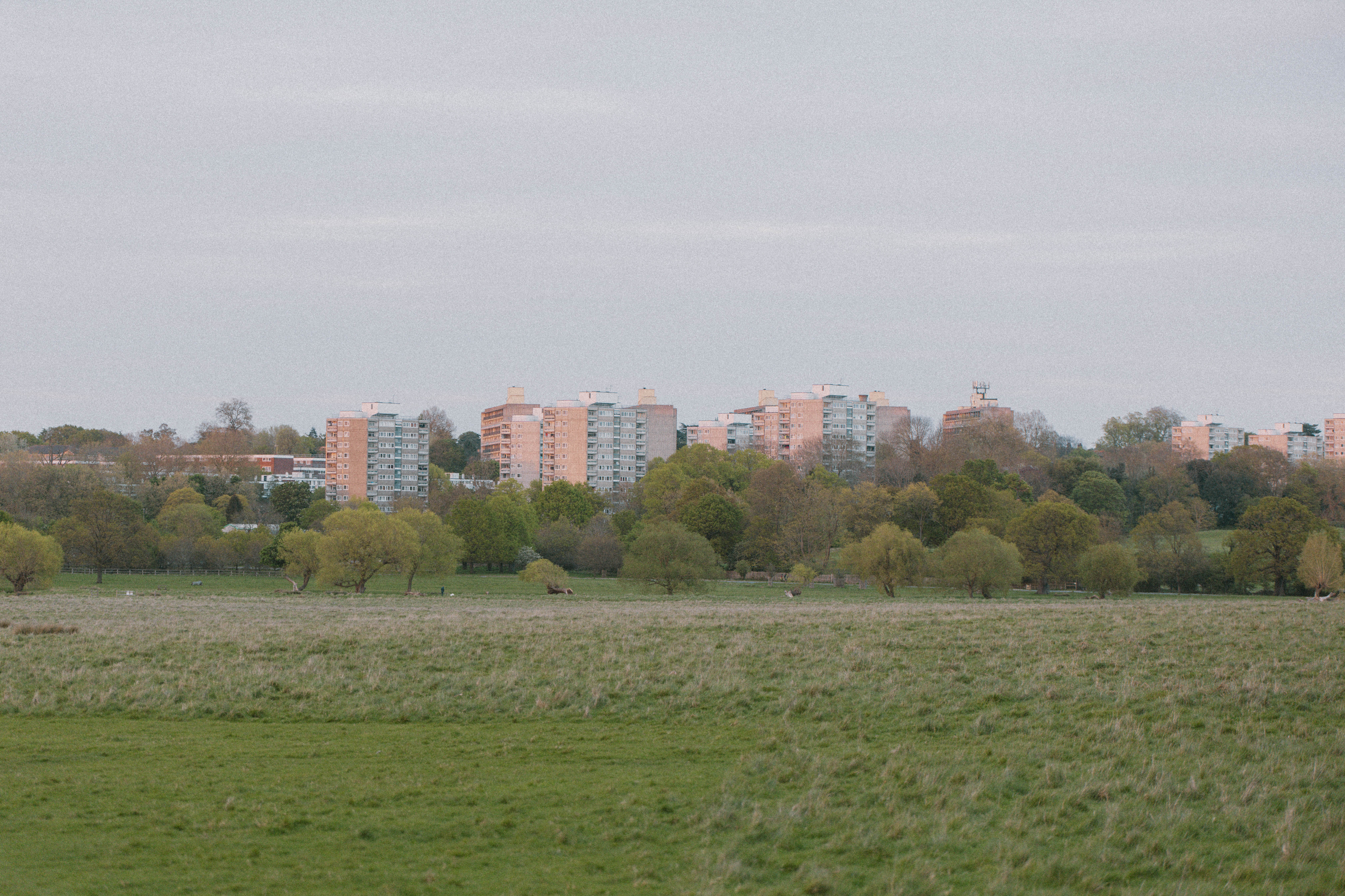 Richmond Park 123