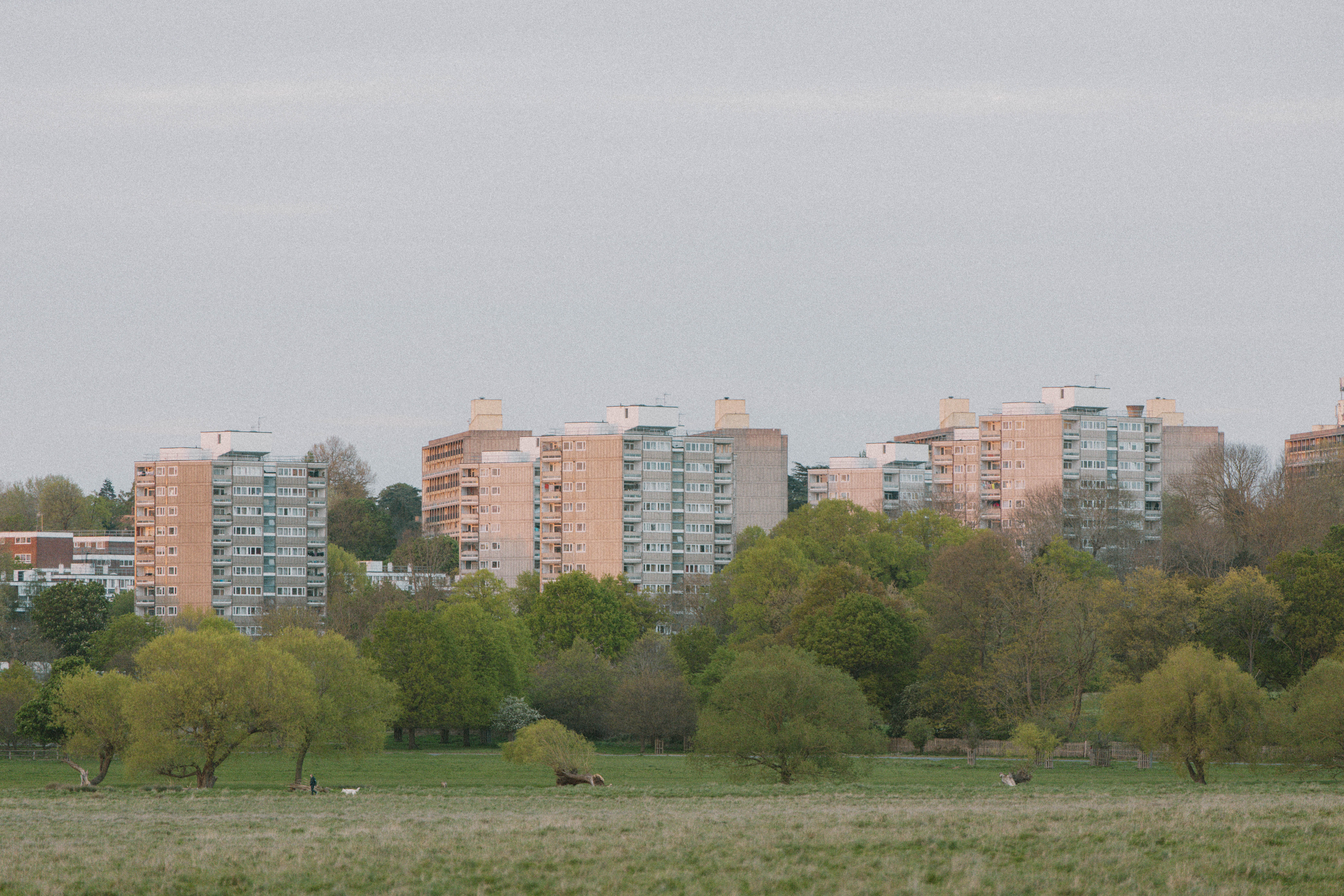 Richmond Park 125