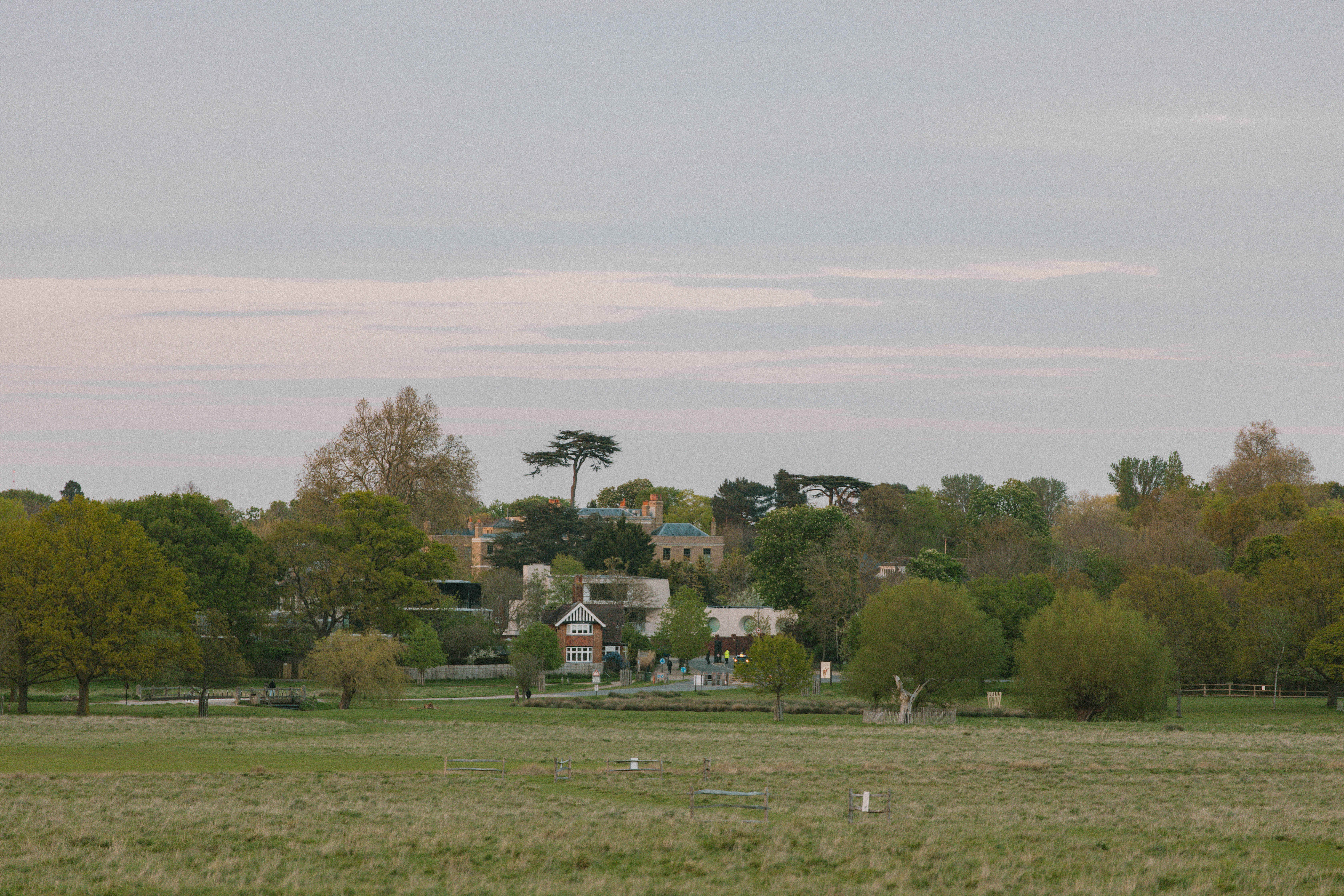Richmond Park 127