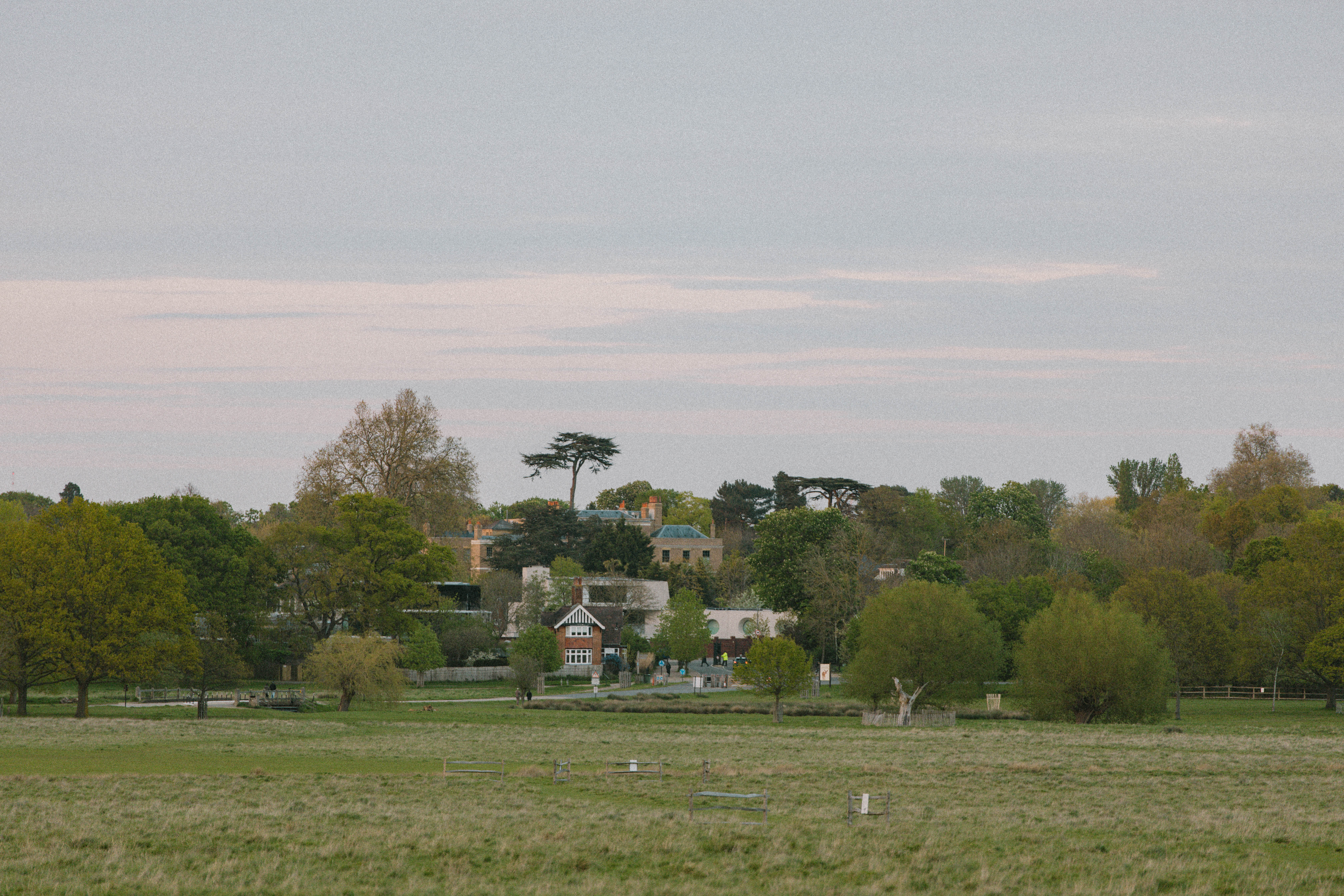 Richmond Park 128