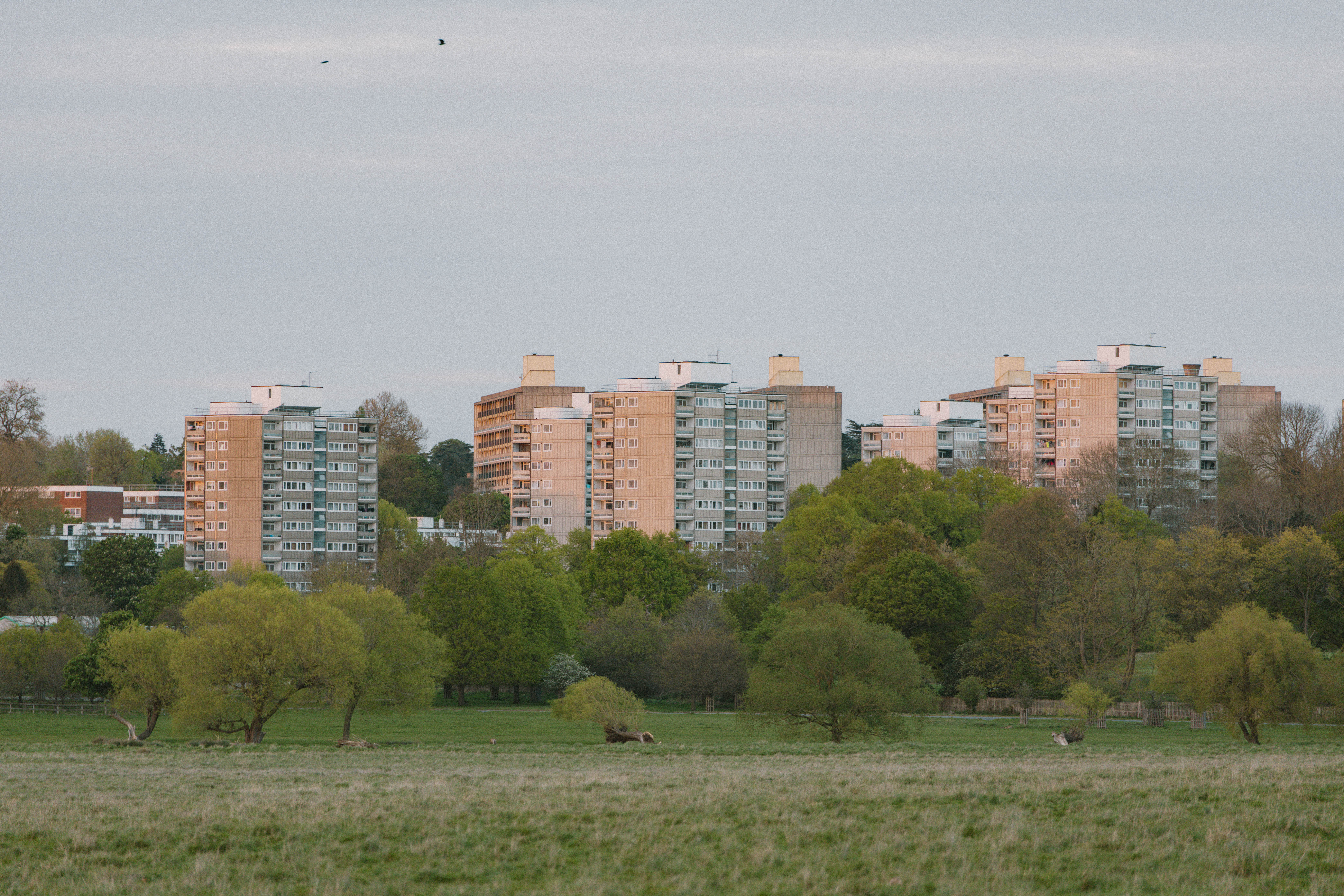 Richmond Park 129