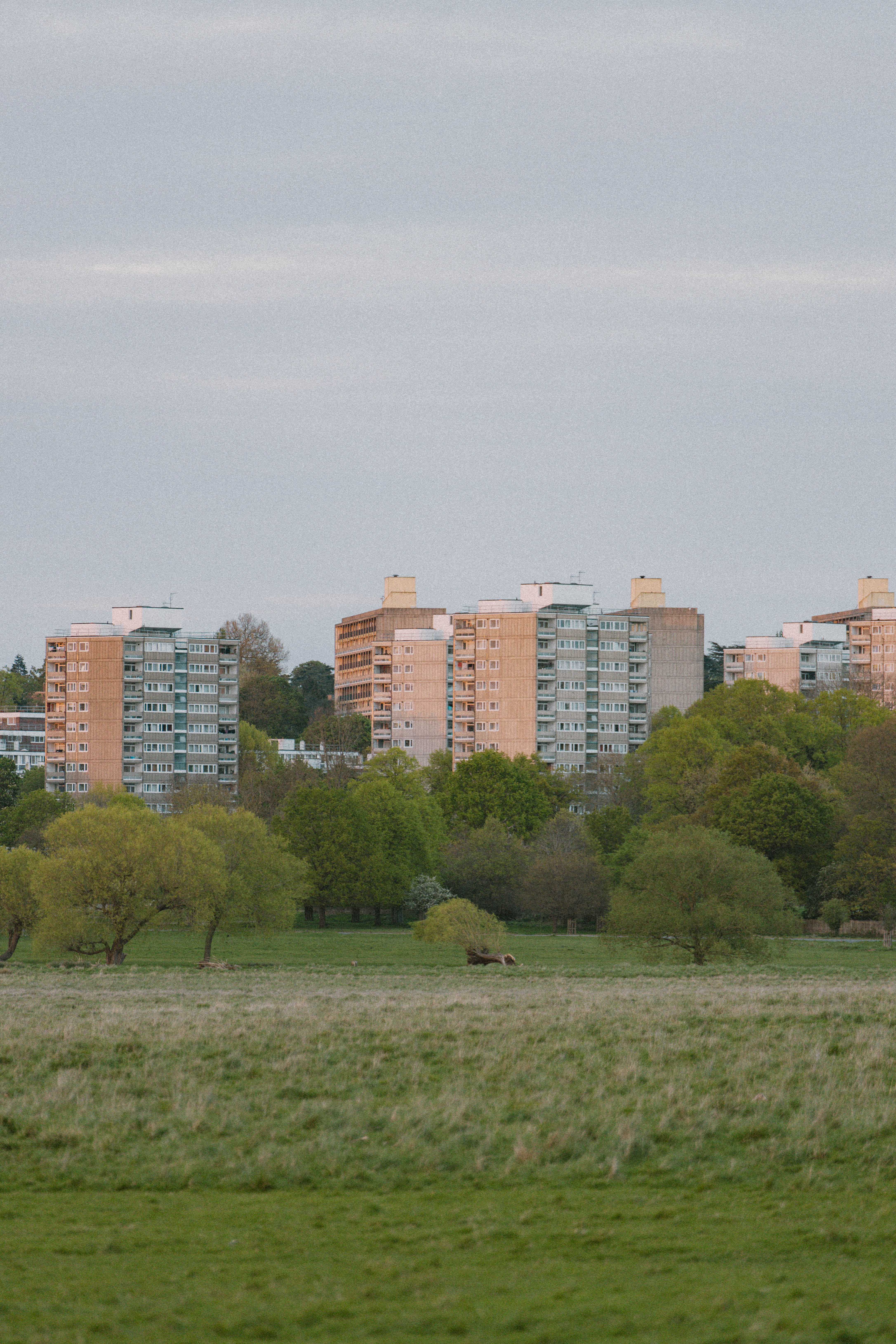 Richmond Park 130
