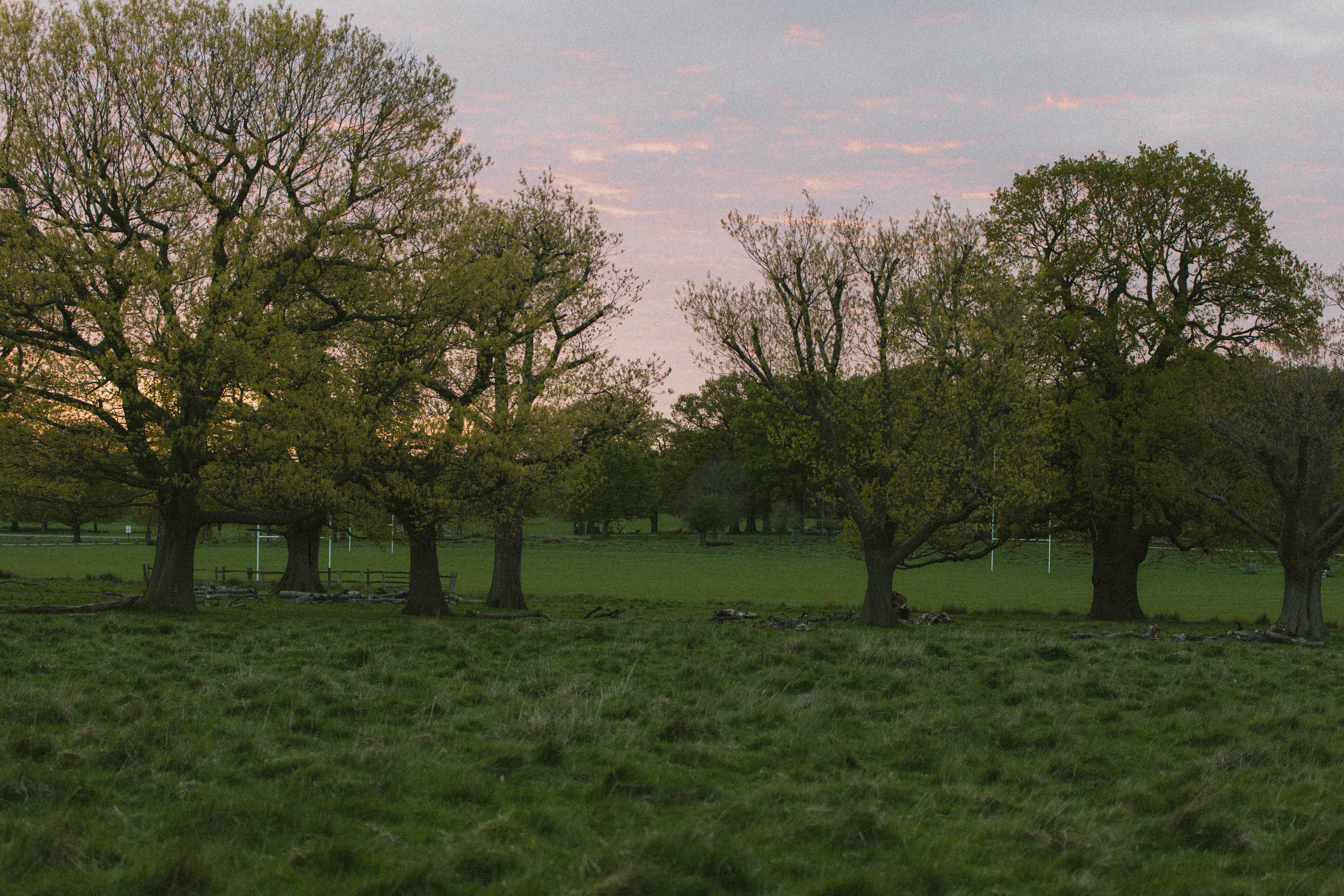 Richmond Park 150