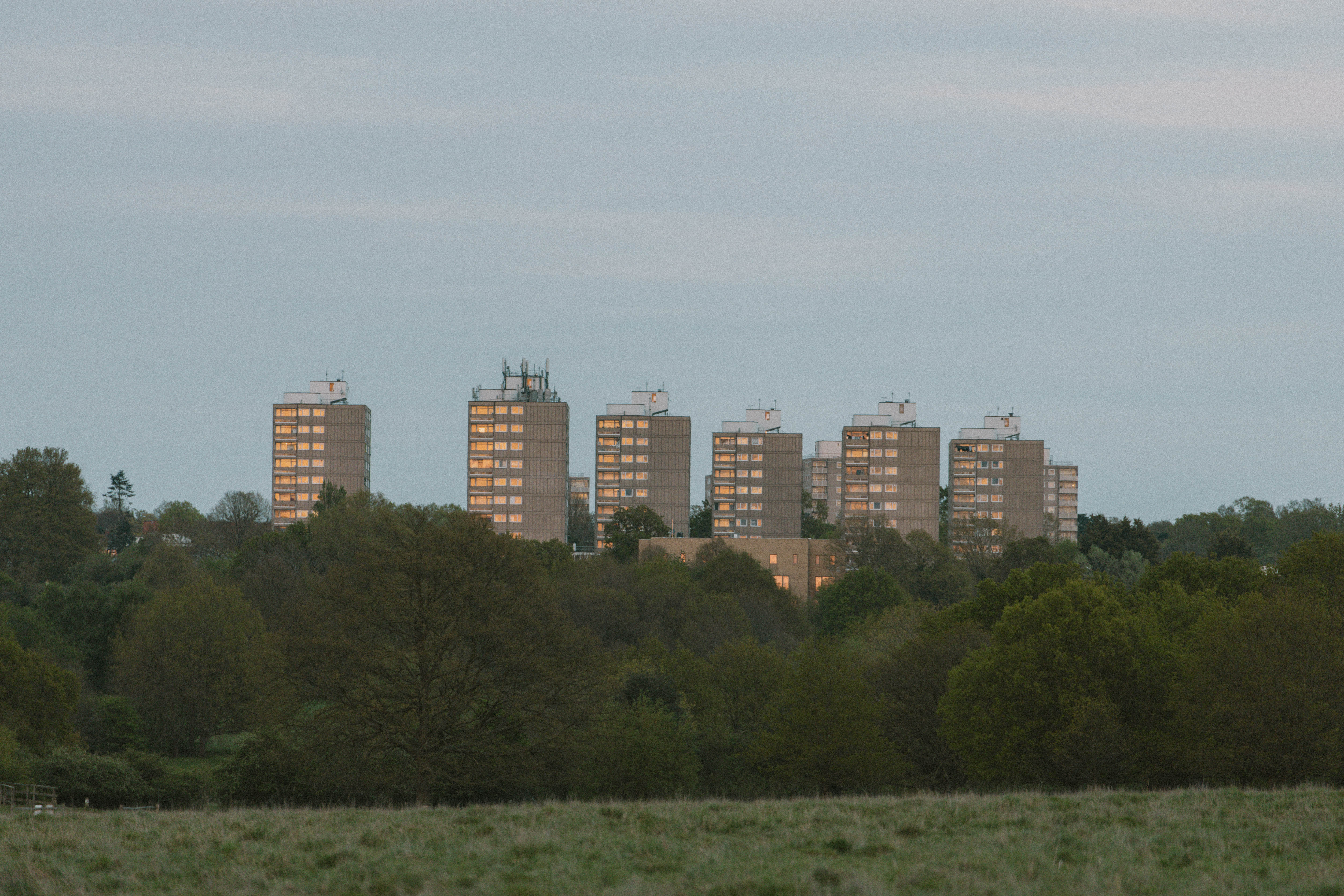 Richmond Park 156