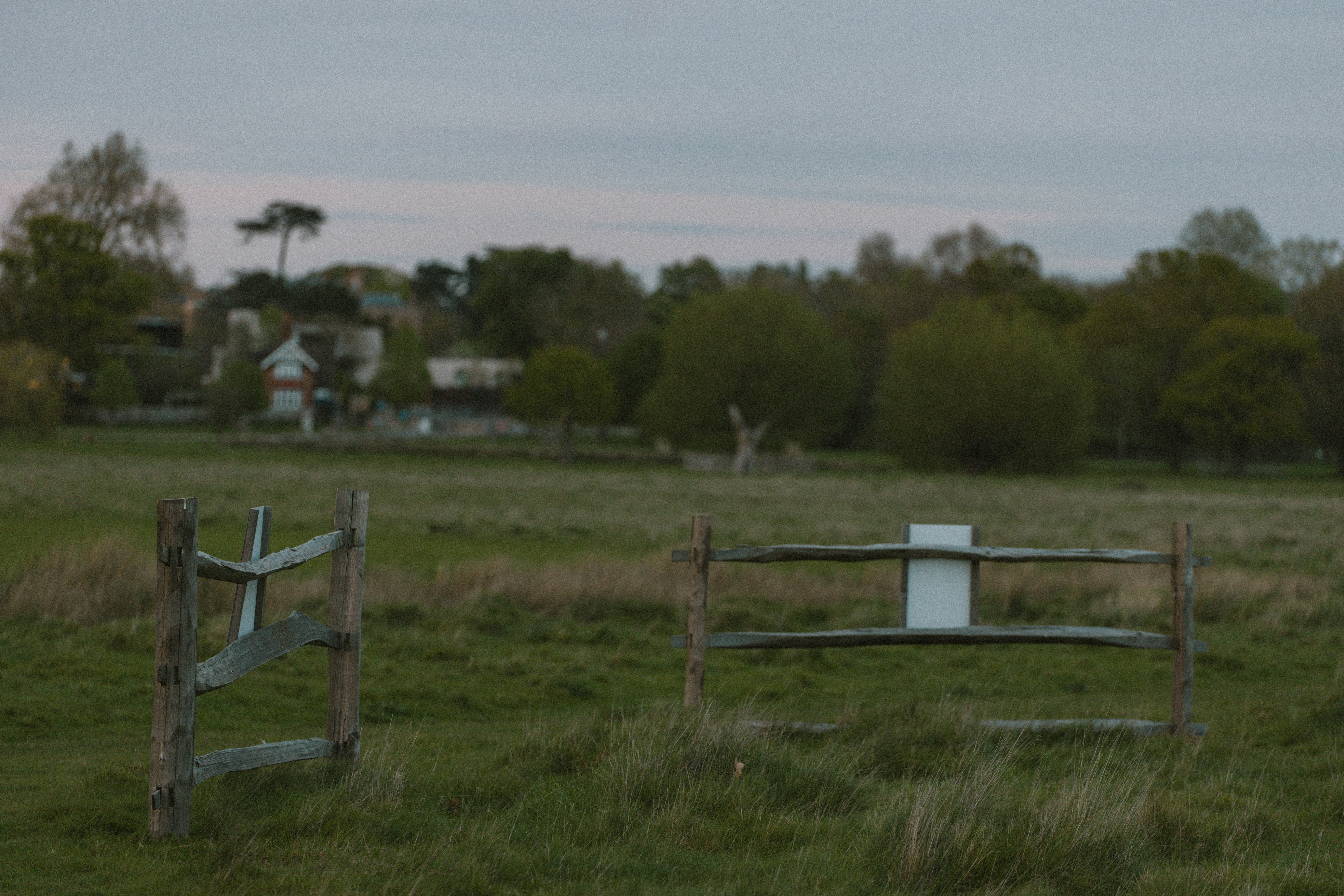 Richmond Park 161